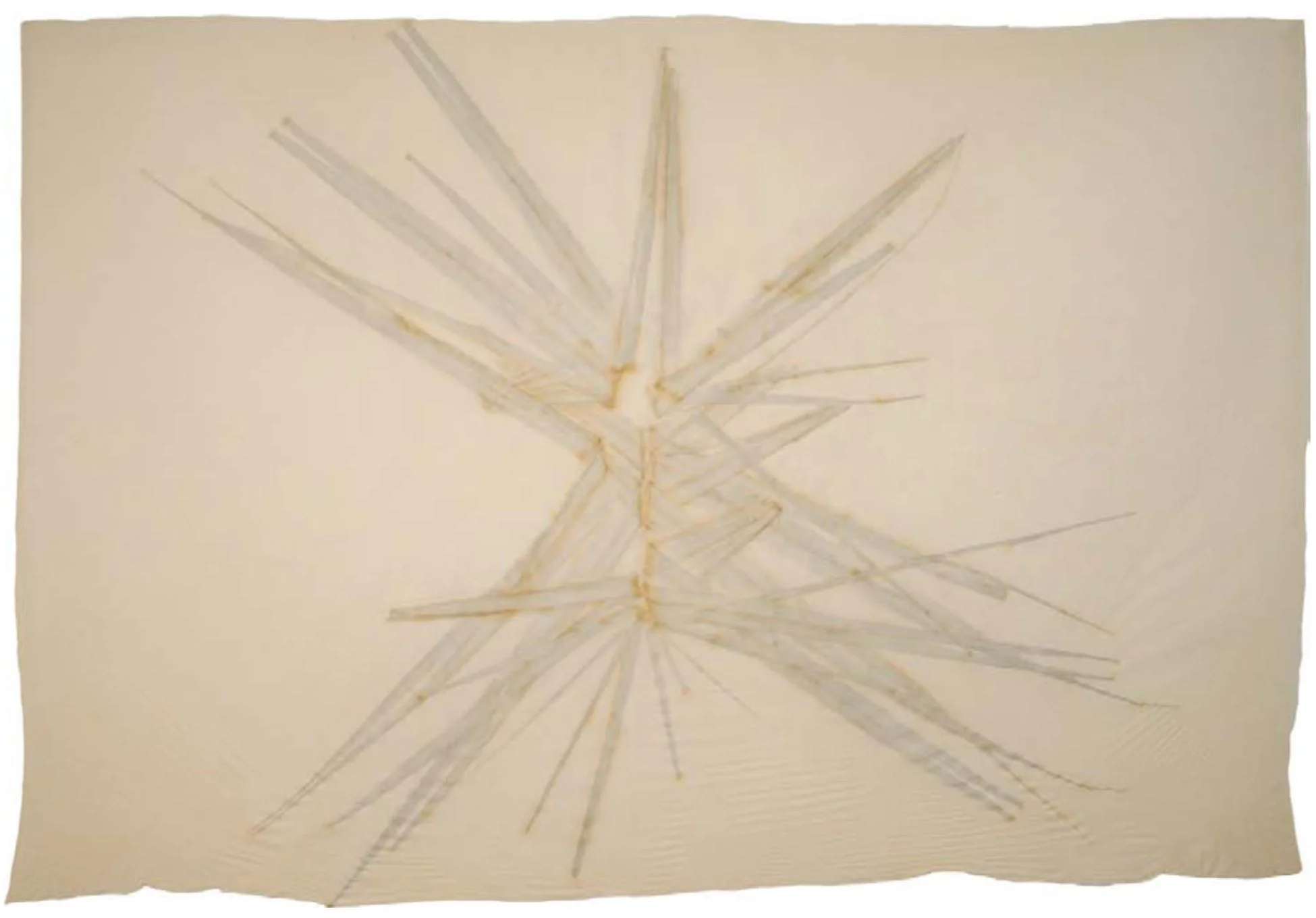 Neuration Mosquito III.jpg