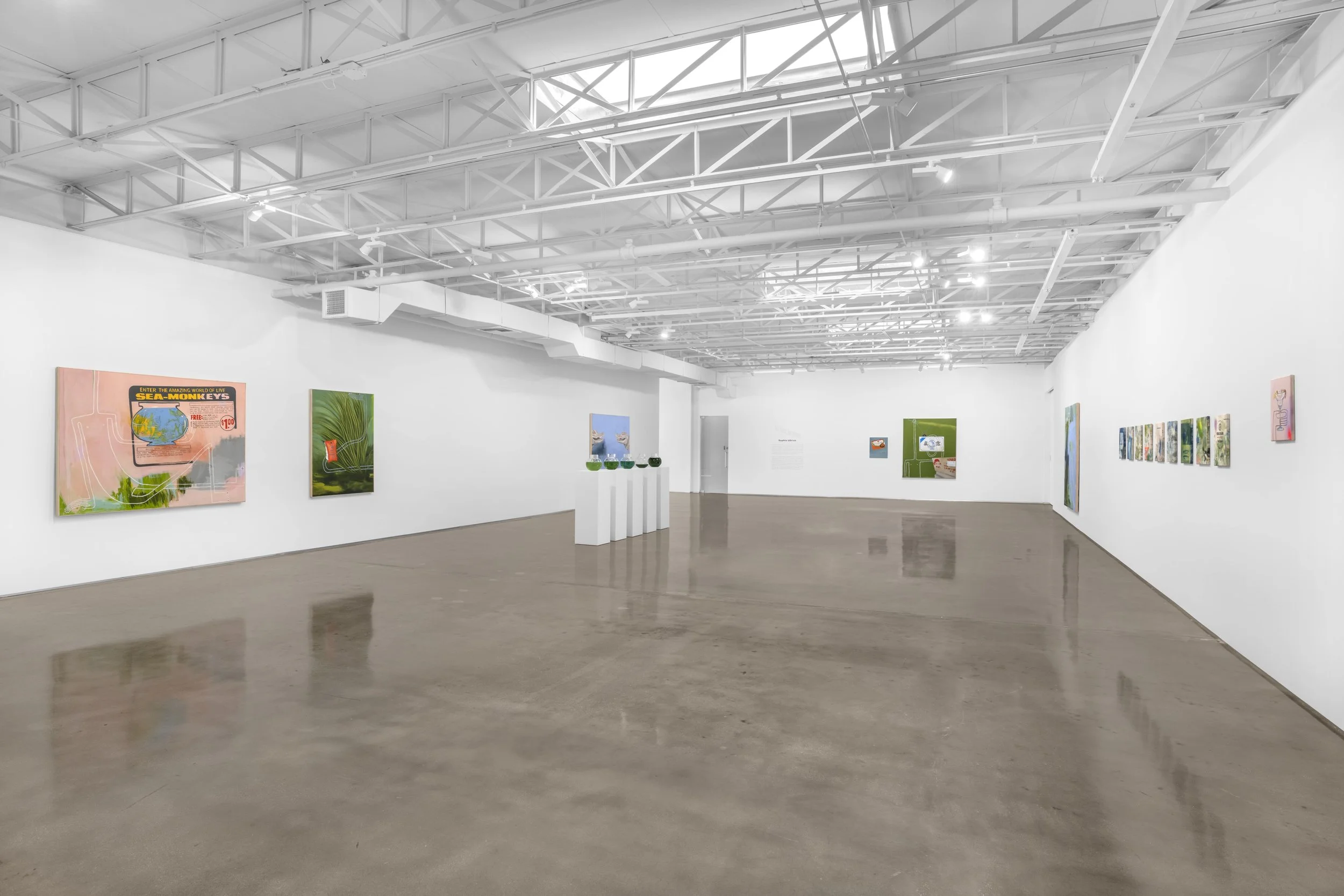 DSC09168 copy-min.jpg