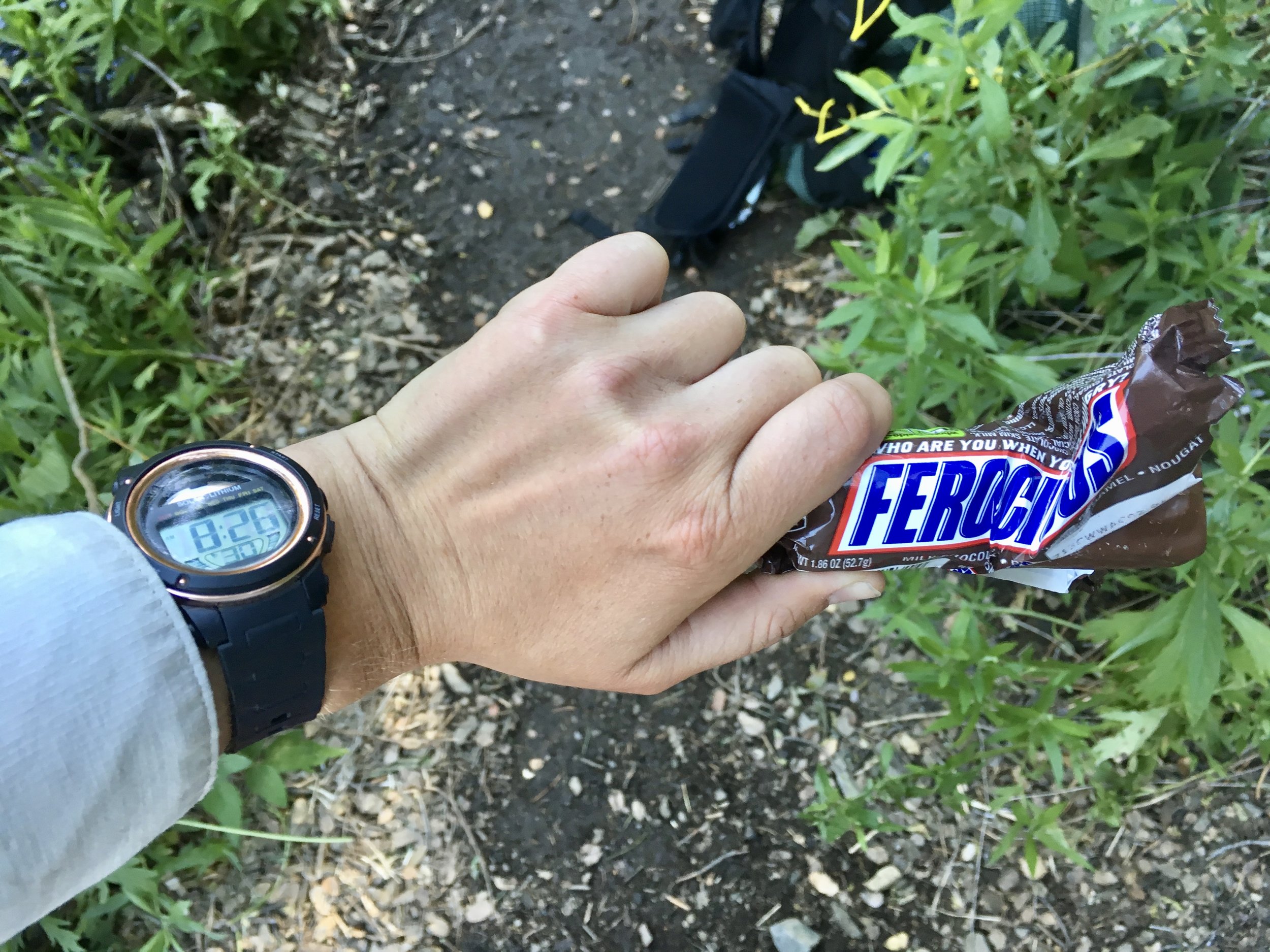 Time-stamped Snickers break near Walker Pass in Southern California