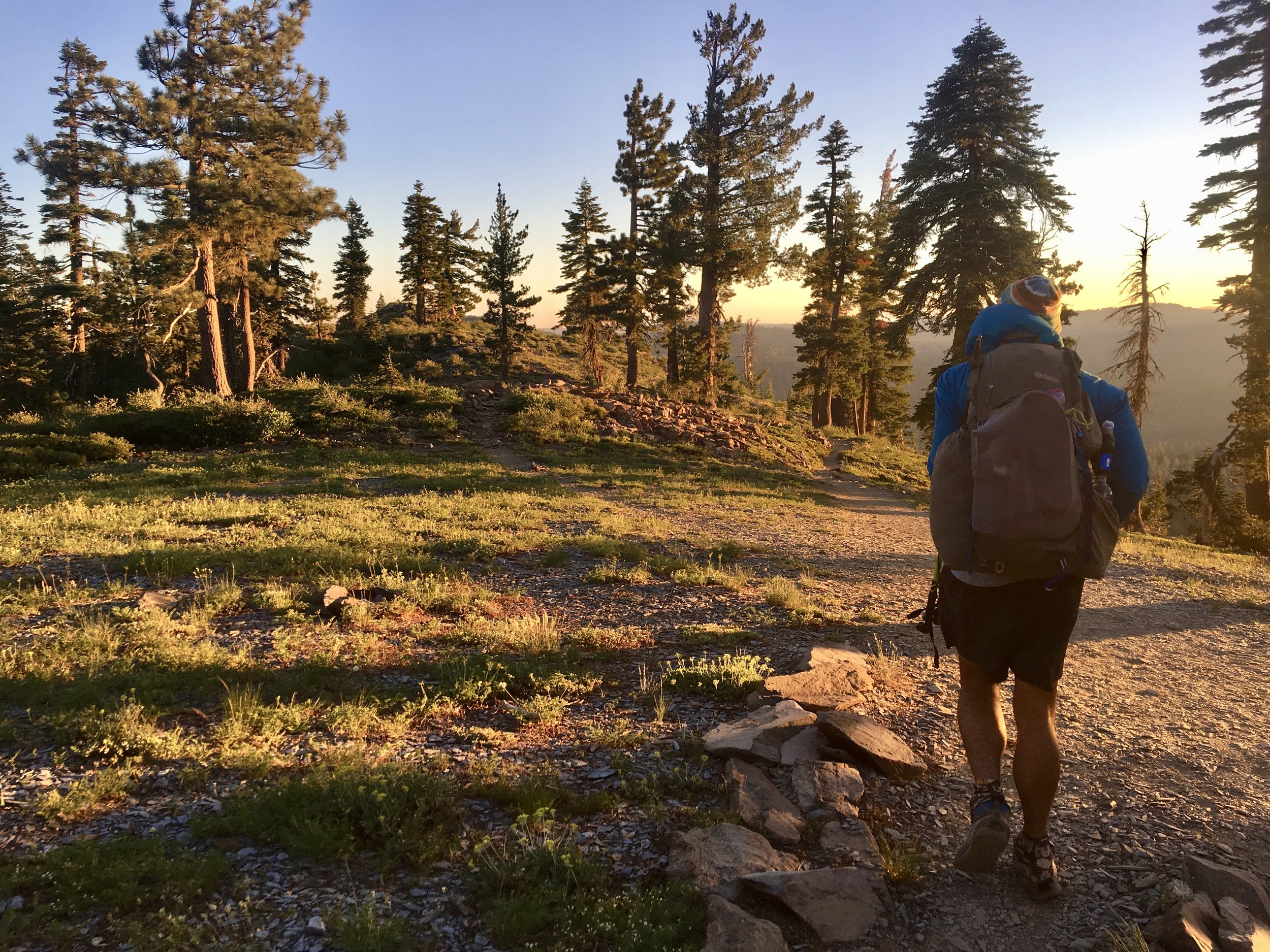 Blis hiking at sunrise somewhere after Sierra City, CA