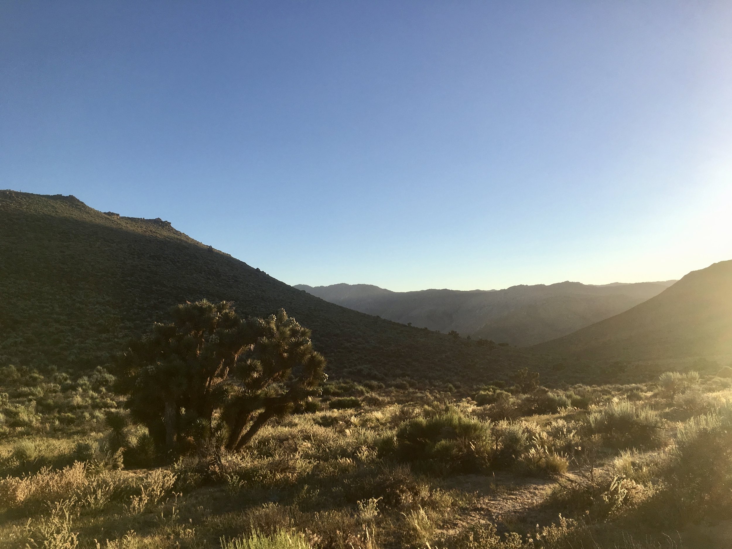A warm welcome from the desert