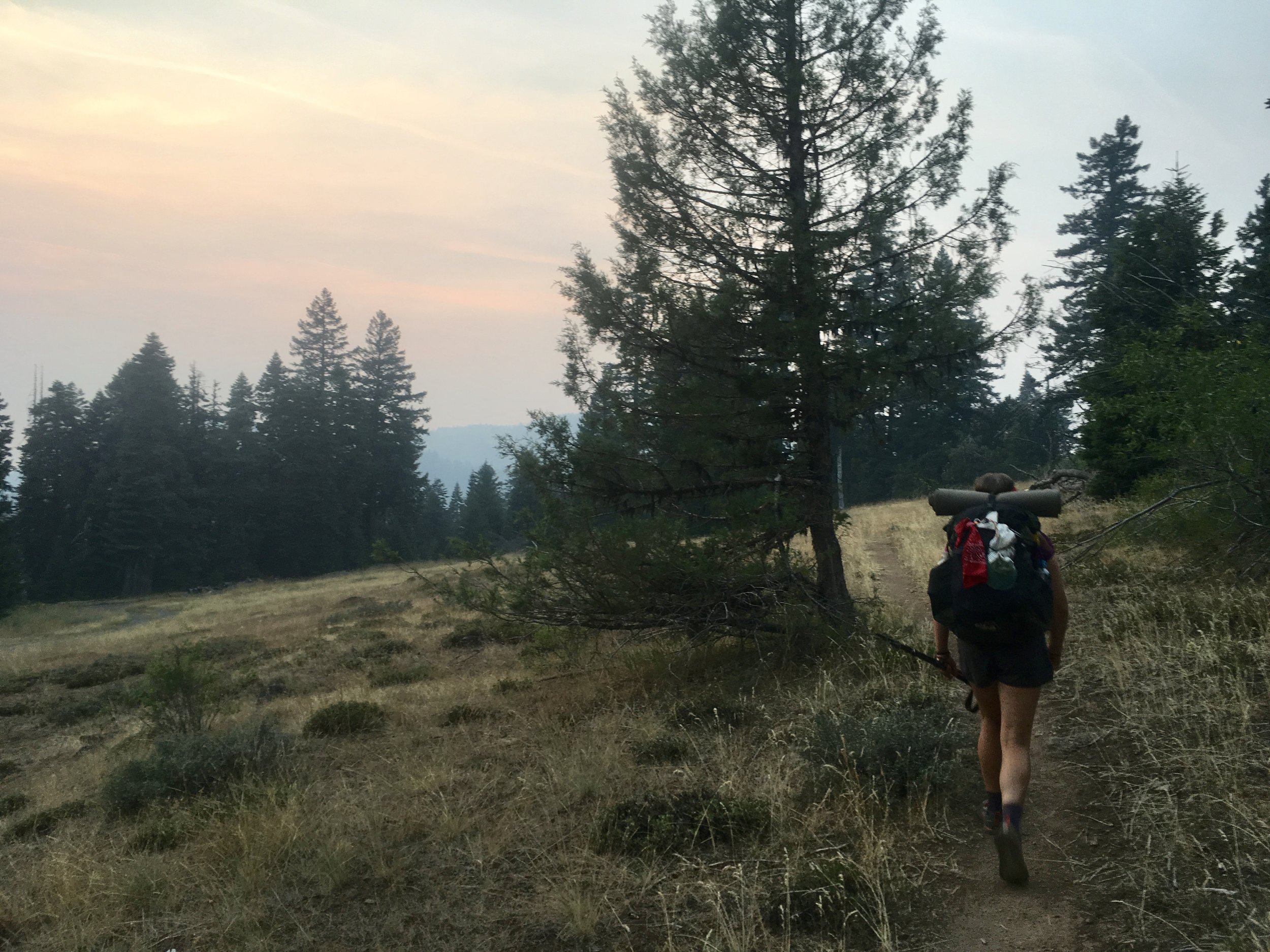 Oregon was a lot flatter (and smokier) than Northern California.