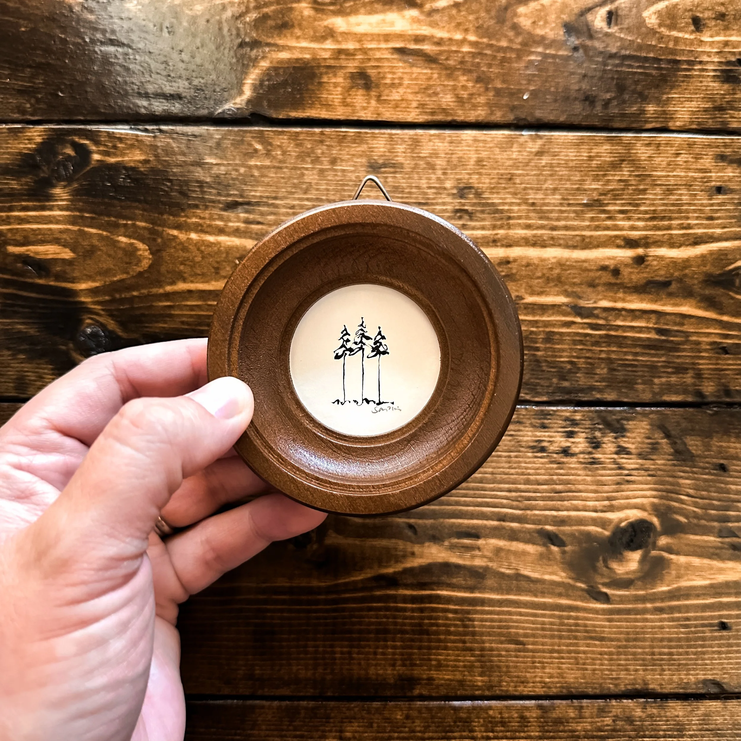 mini pine 4.jpg