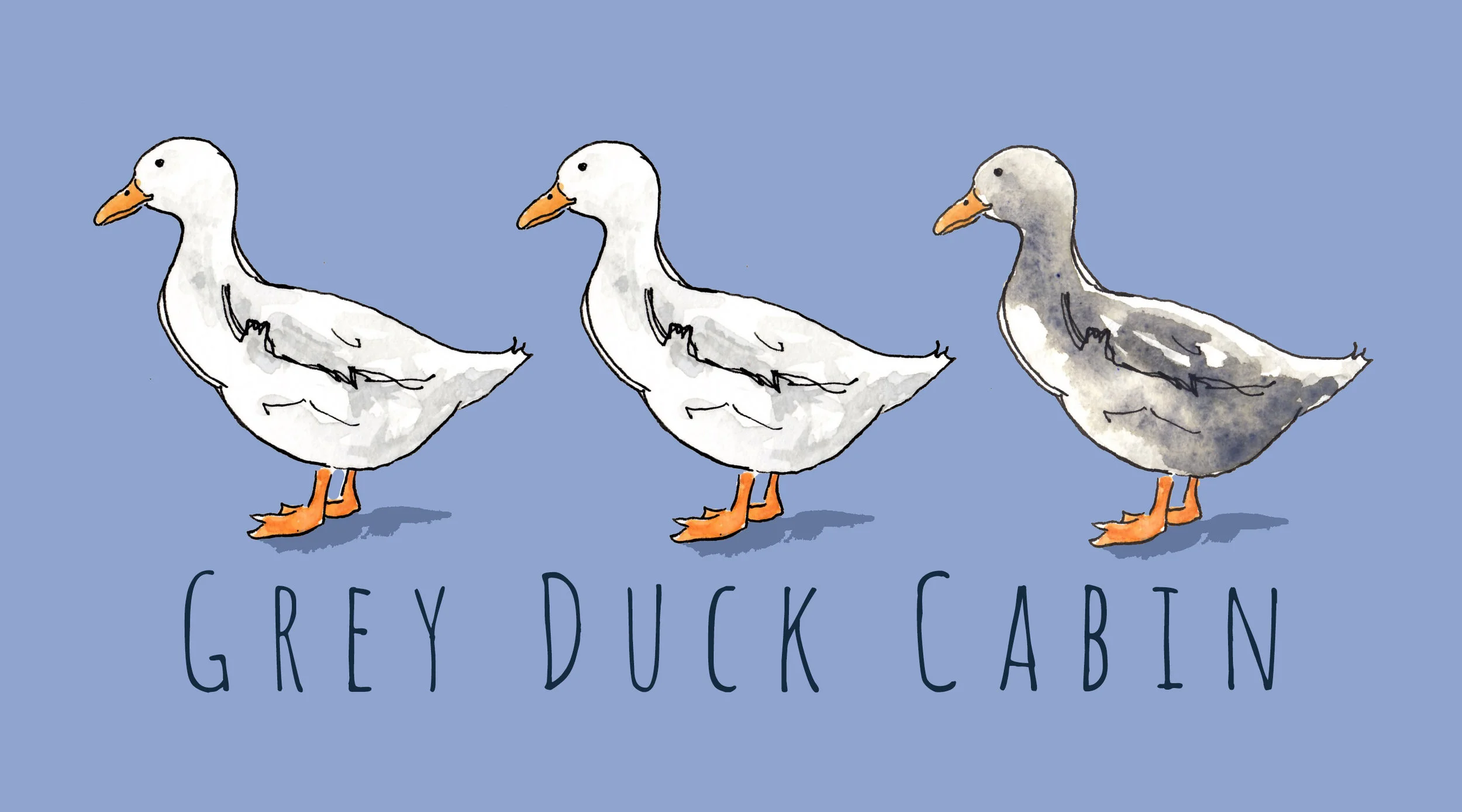 Grey Duck Cabin.jpg