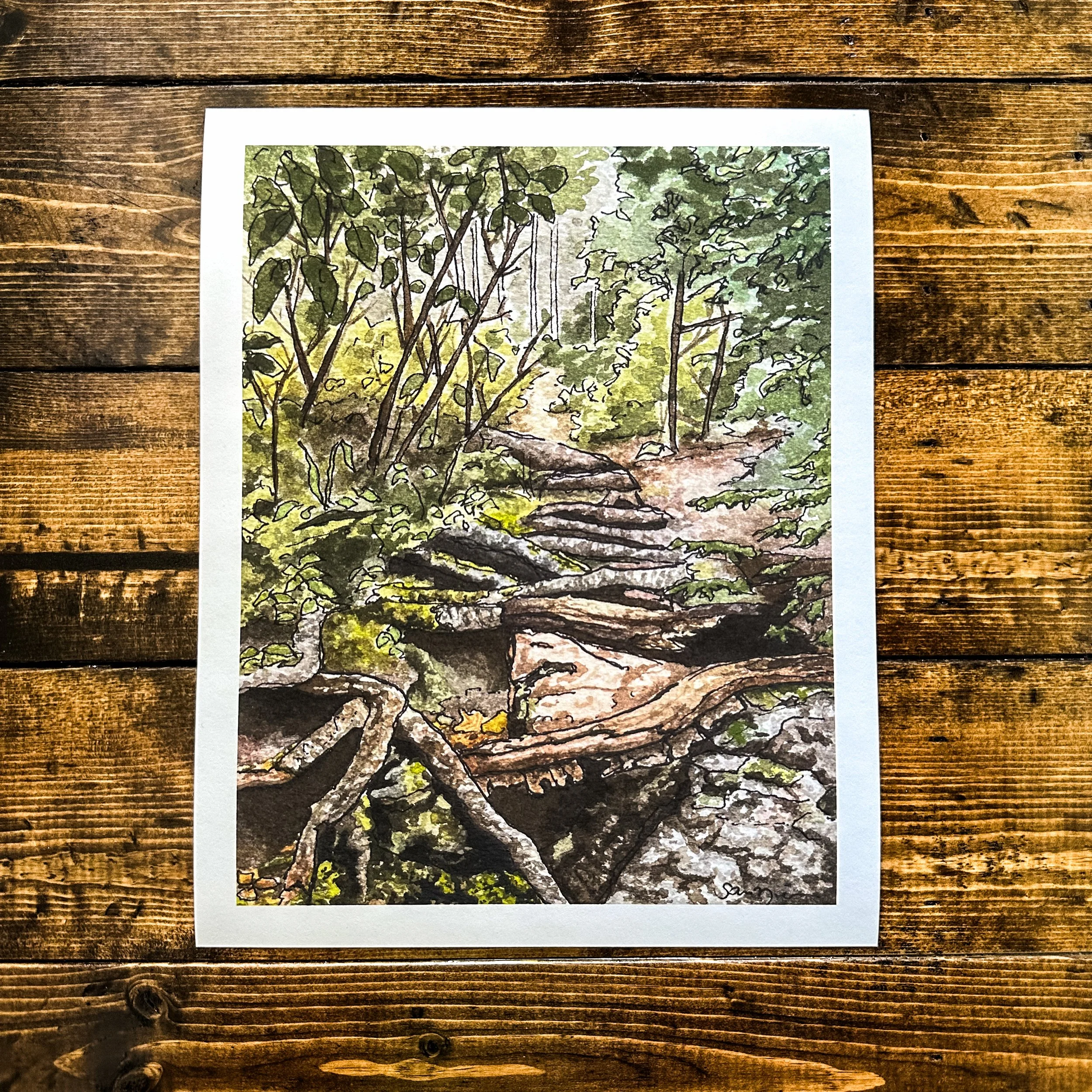 Through the Woods Print