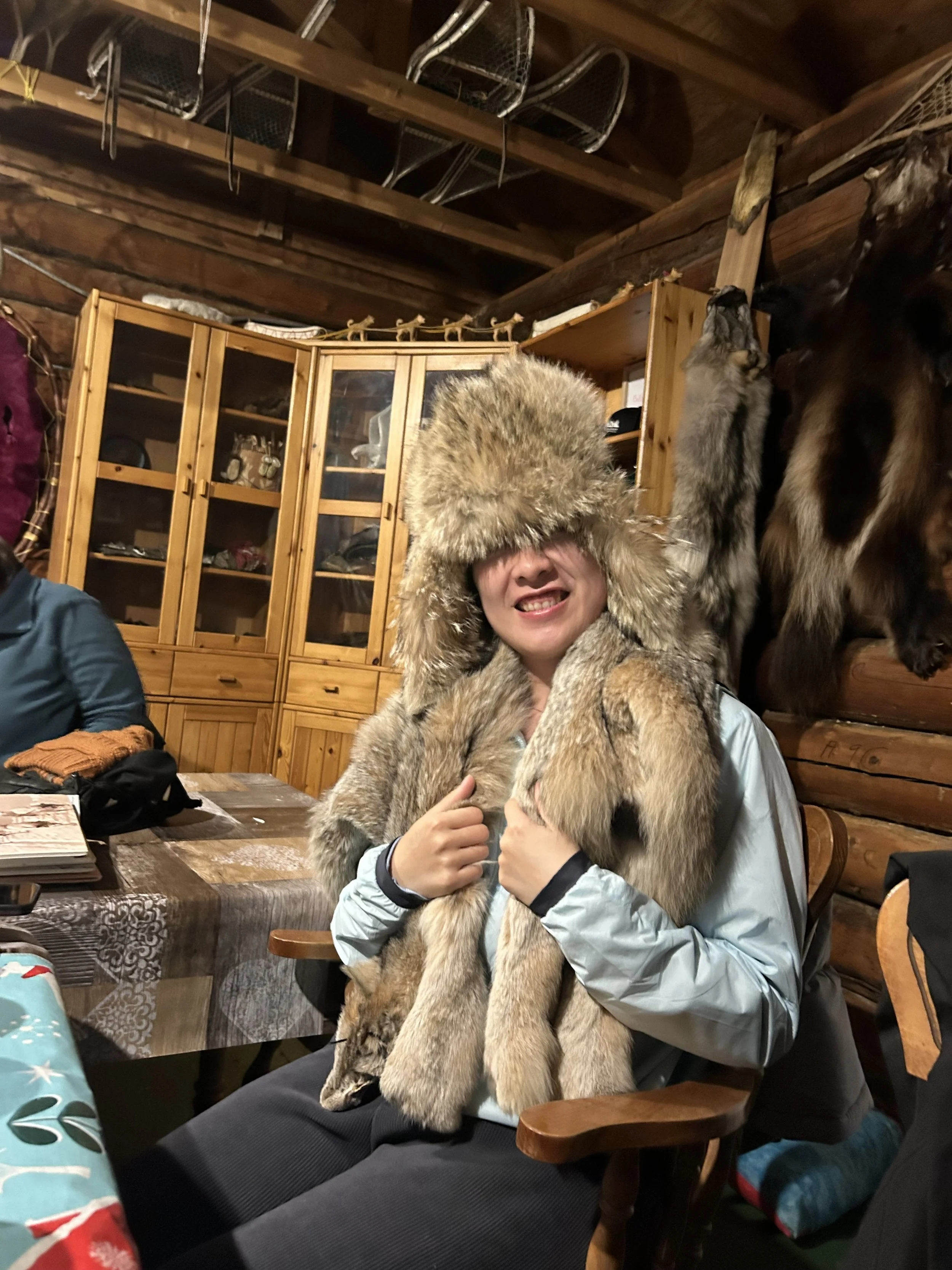 Our guest trying on a wolf hat and lynx fur 