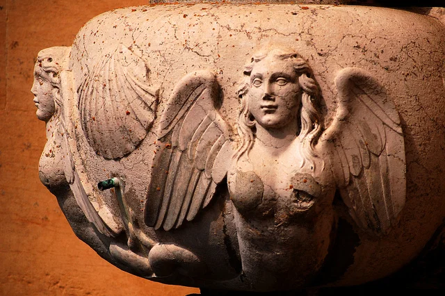 The Harpy