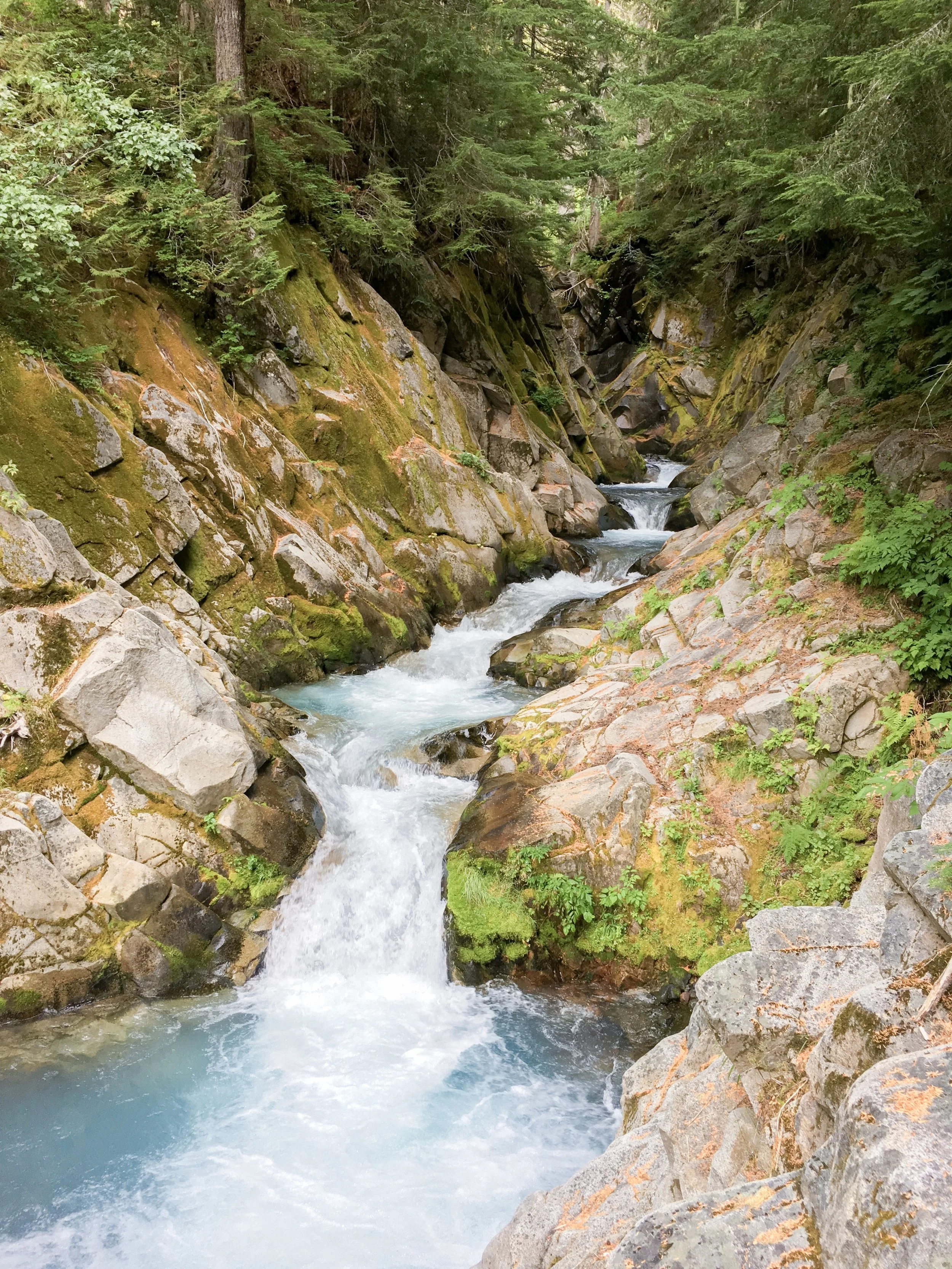 3 Reasons to Visit Oregon!