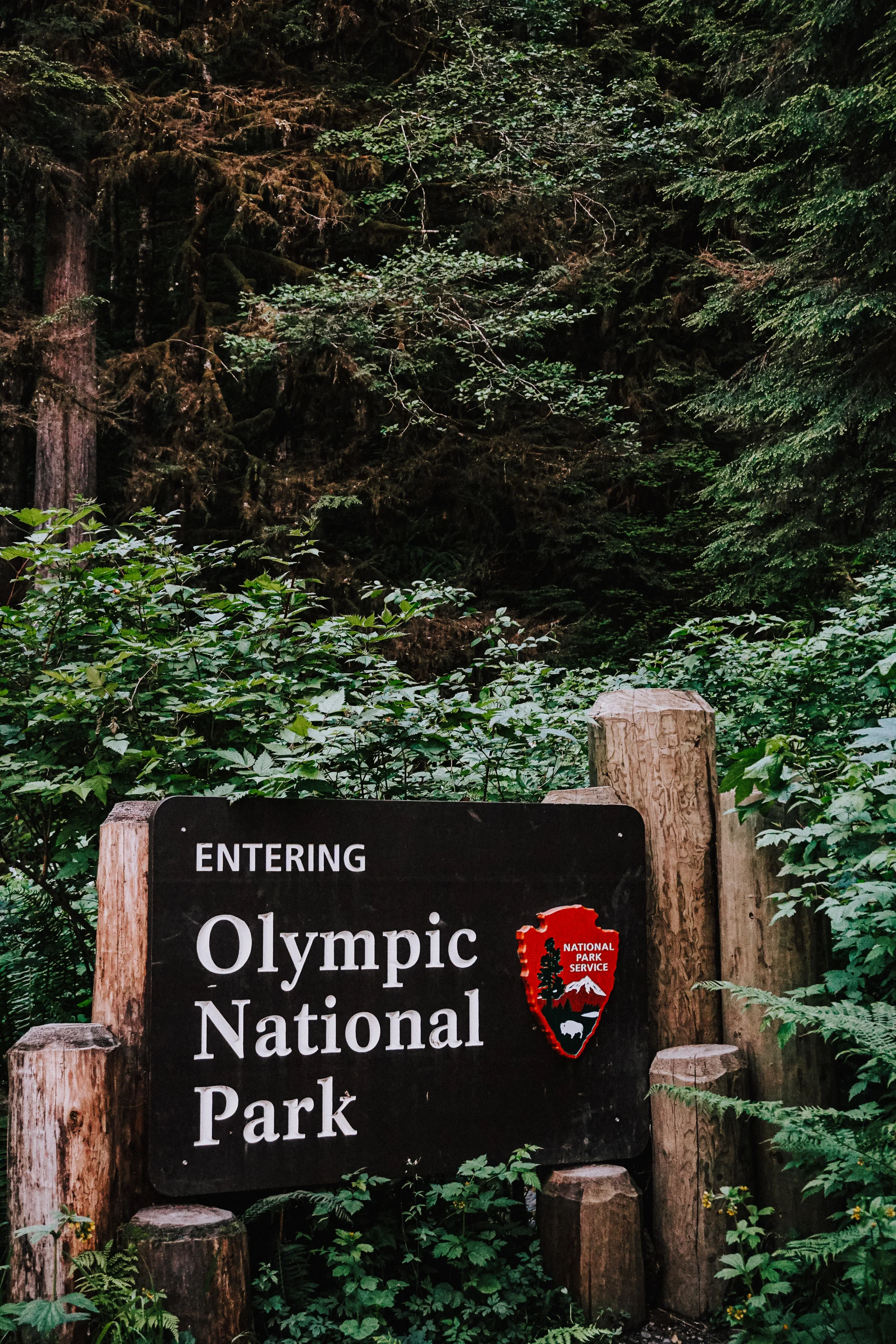 Enchanted Valley Olympic National Park