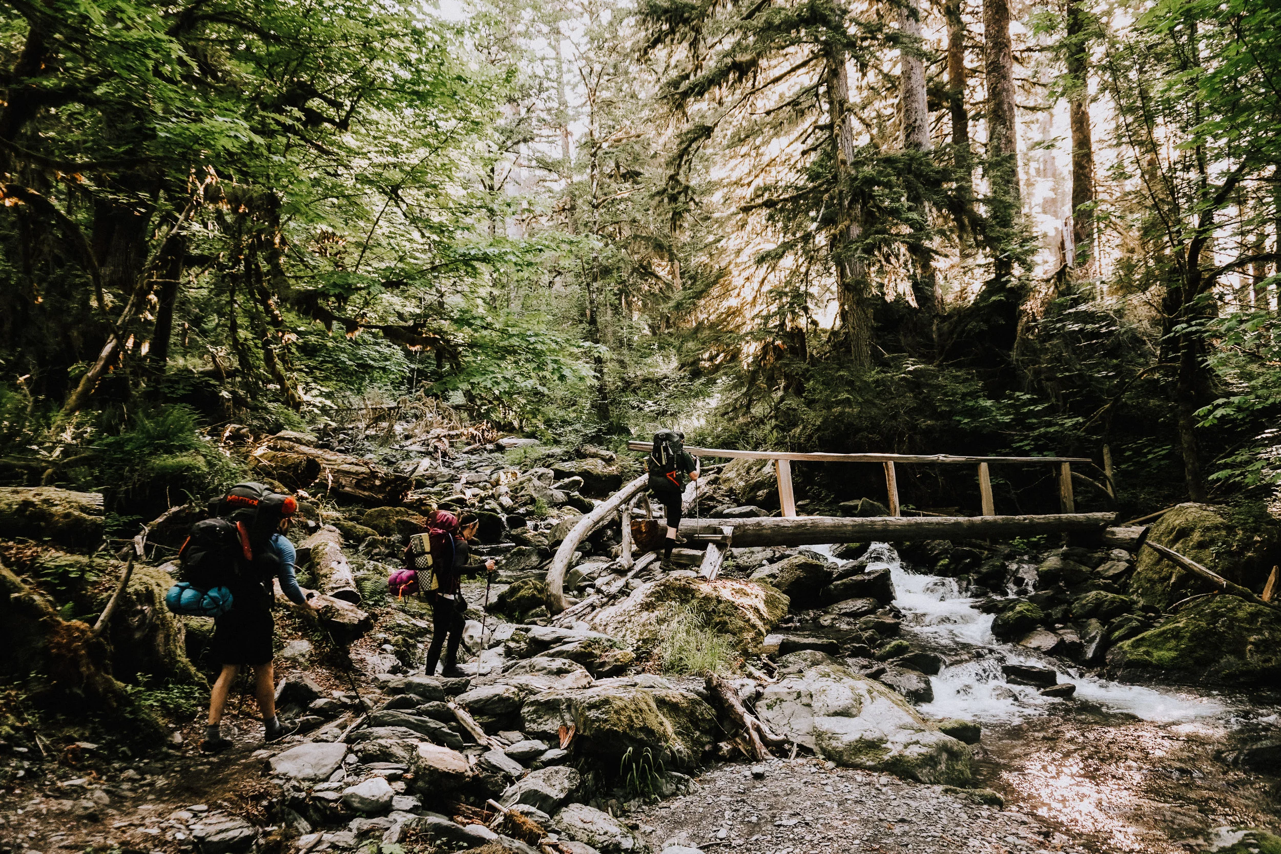 Enchanted Valley Trail Olympic National Park