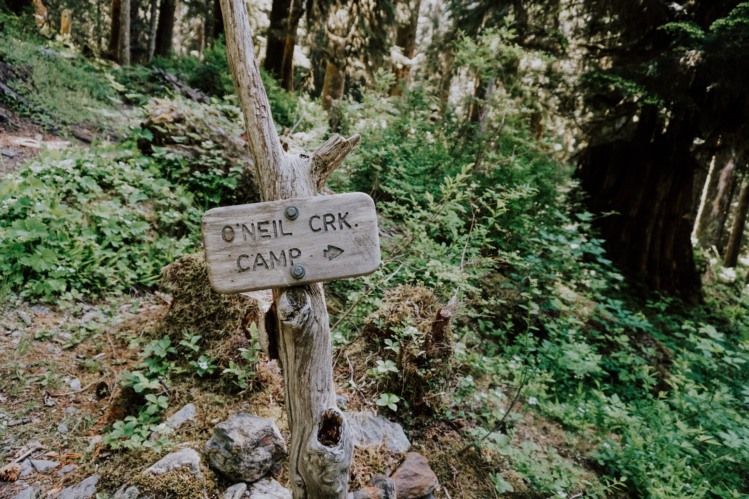 Enchanted Valley Trail Olympic National Park