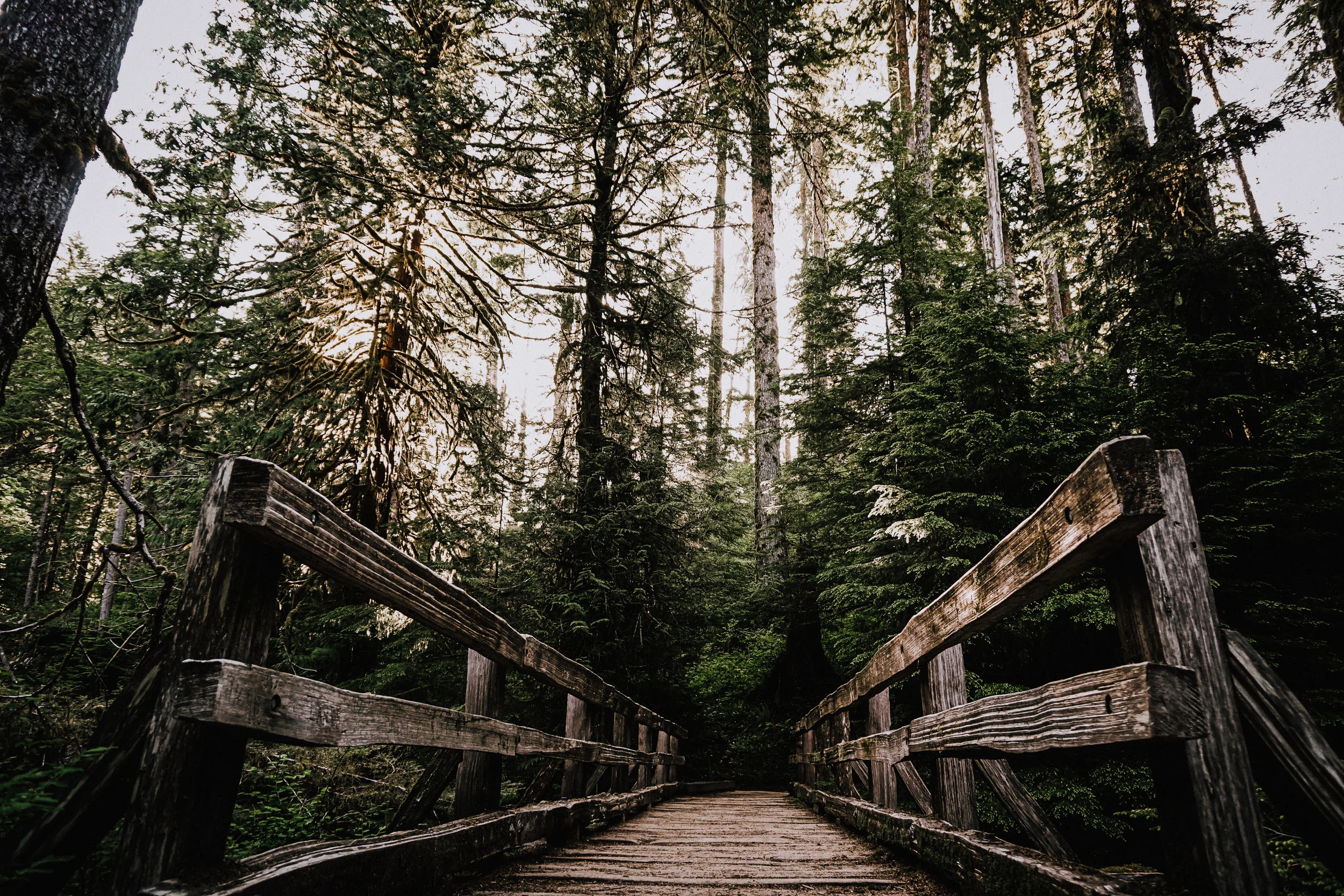 Enchanted Valley Trail Olympic National Park