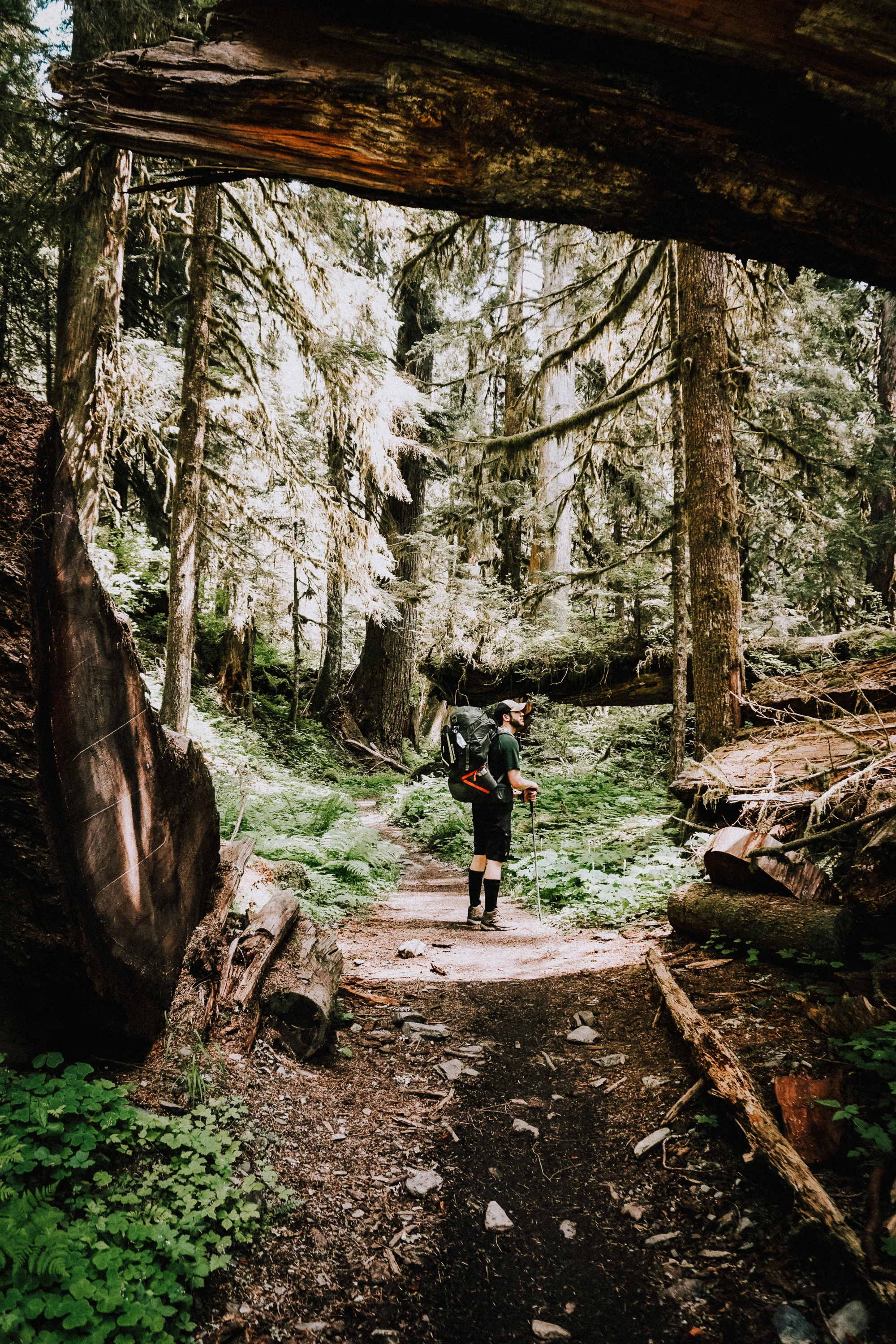 Enchanted Valley Trail Olympic National Park