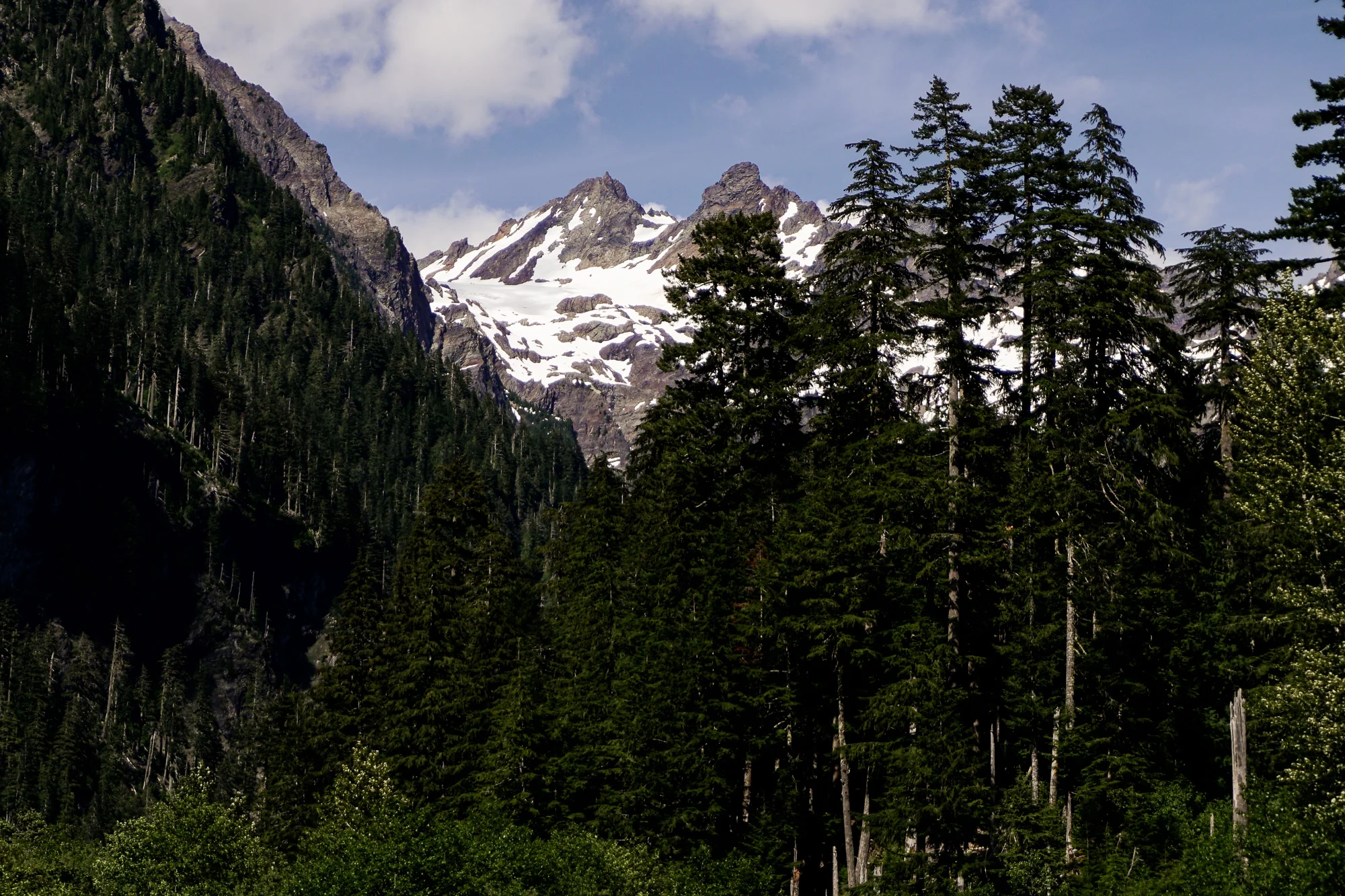 Enchanted Valley Trail Olympic National Park