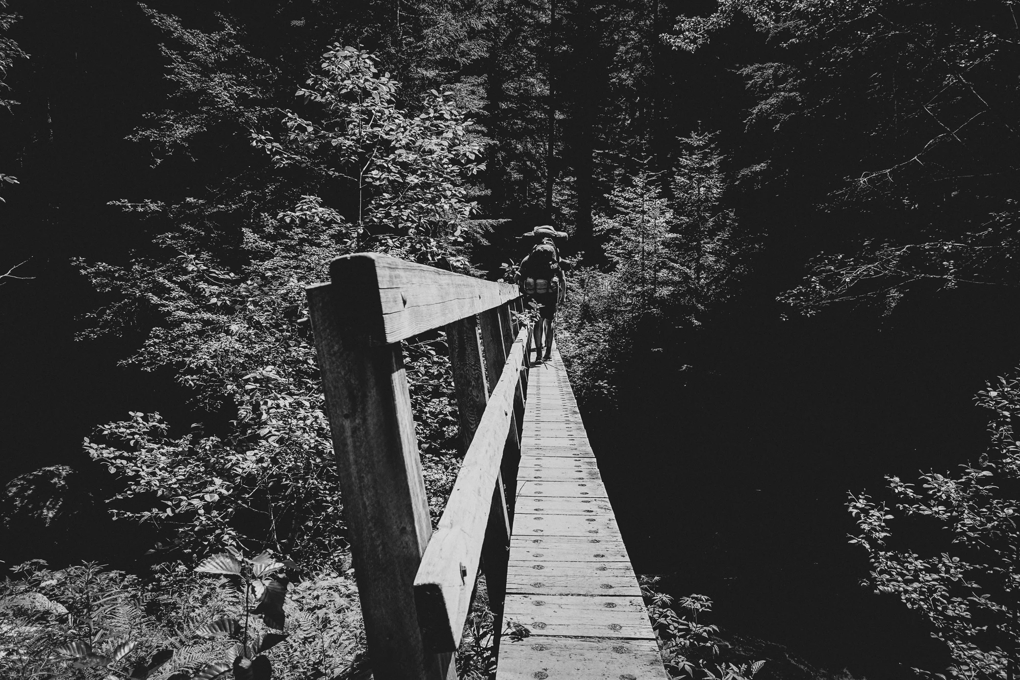 Enchanted Valley Trail Olympic National Park