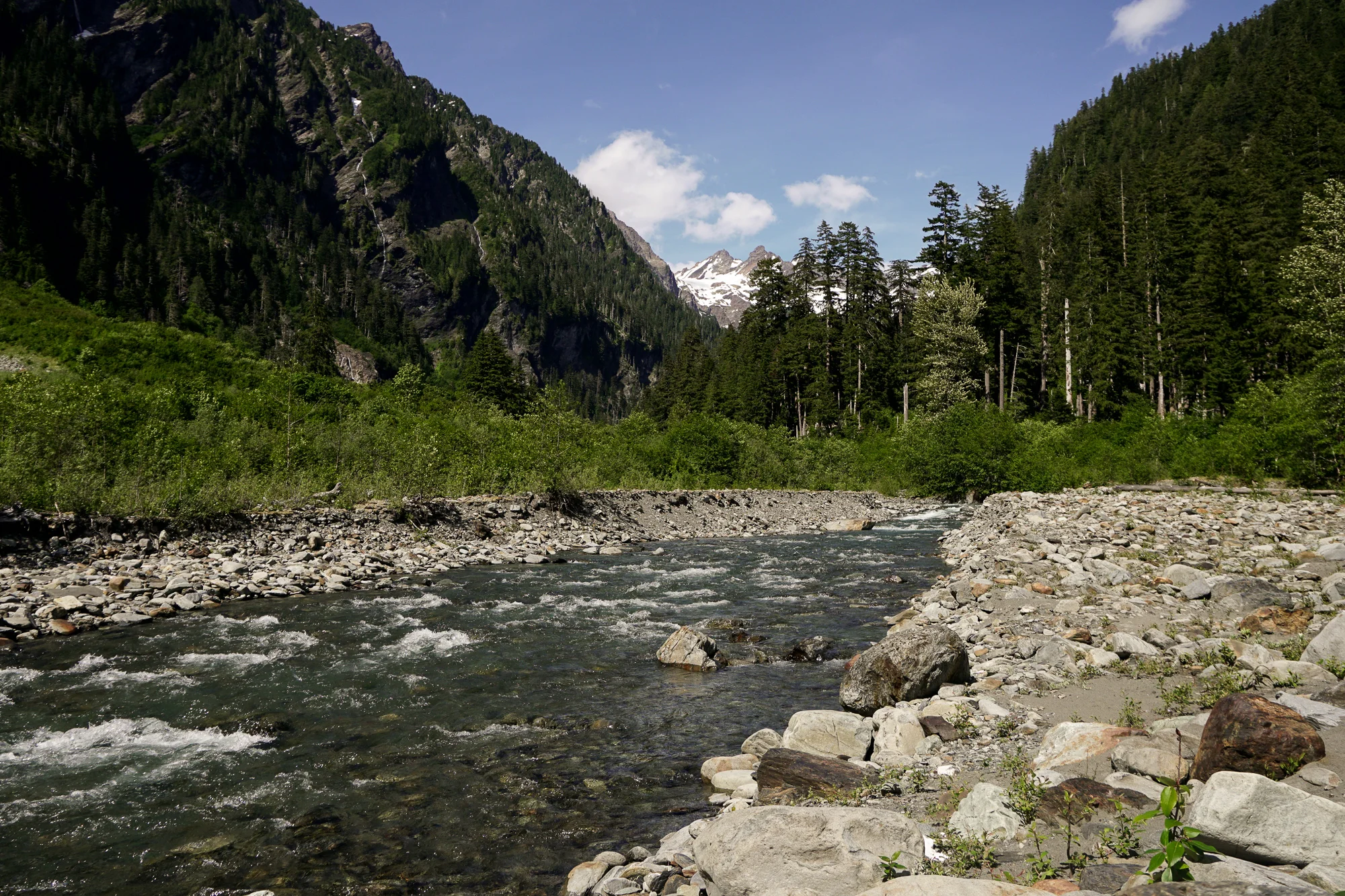 Enchanted Valley Backpacking Olympic National Park