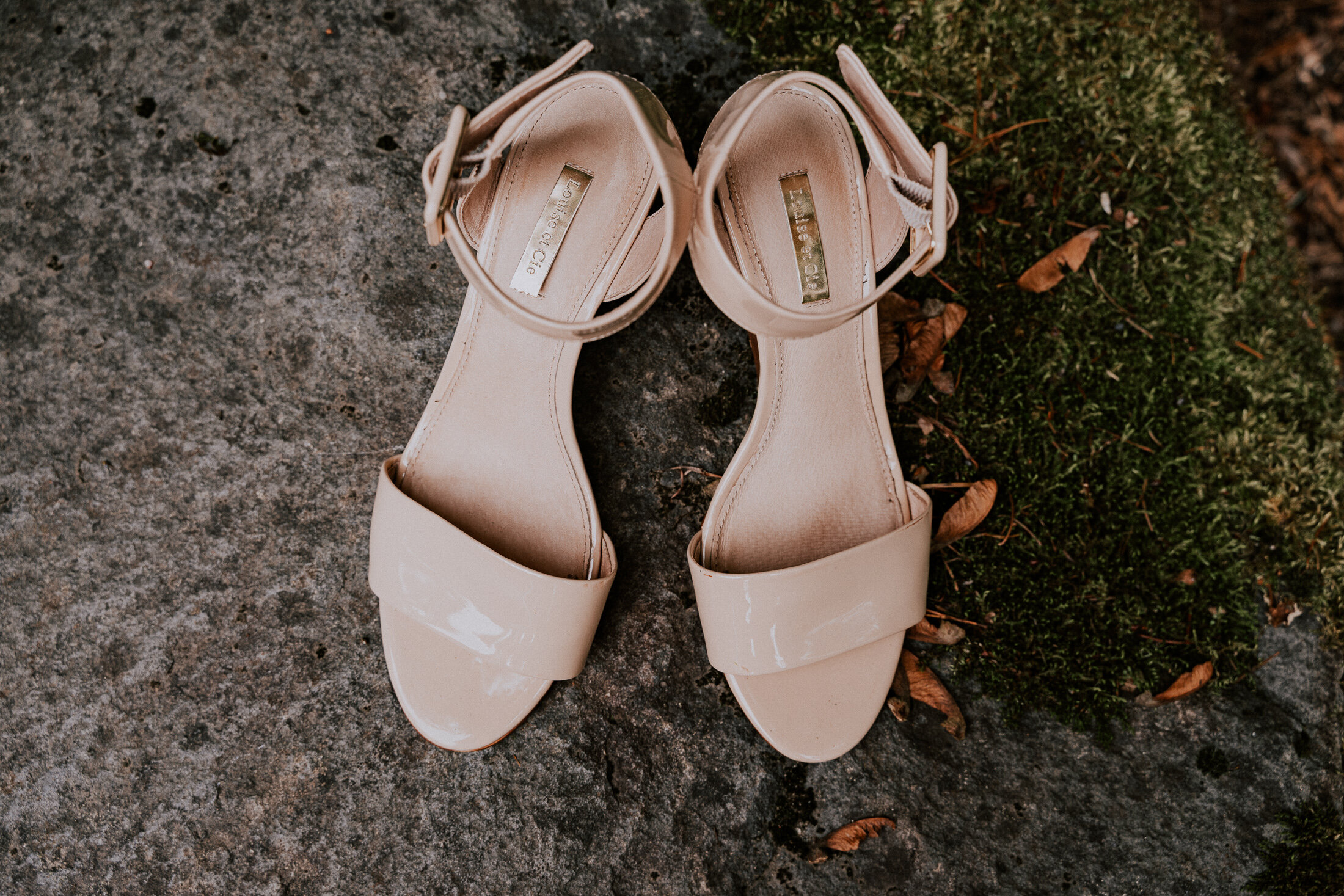 Hoyt Arboretum Redwood Deck Portland Oregon Wedding Photography