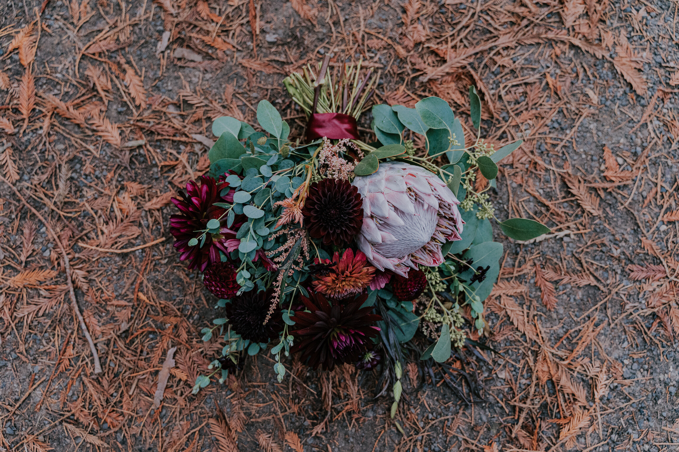 Hoyt Arboretum Redwood Deck Portland Oregon Wedding Photography