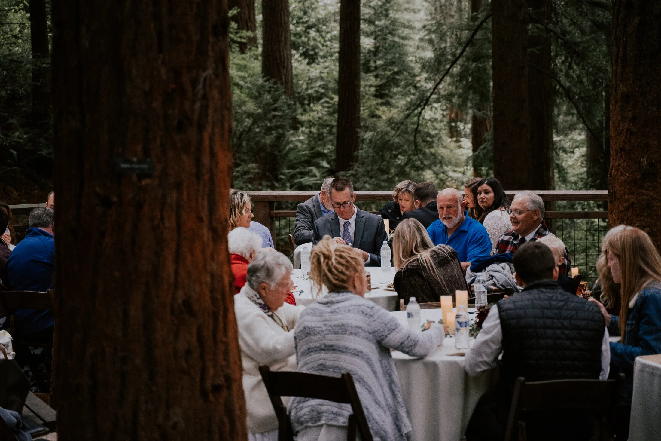 Hoyt Arboretum Redwood Deck Portland Oregon Wedding Photography