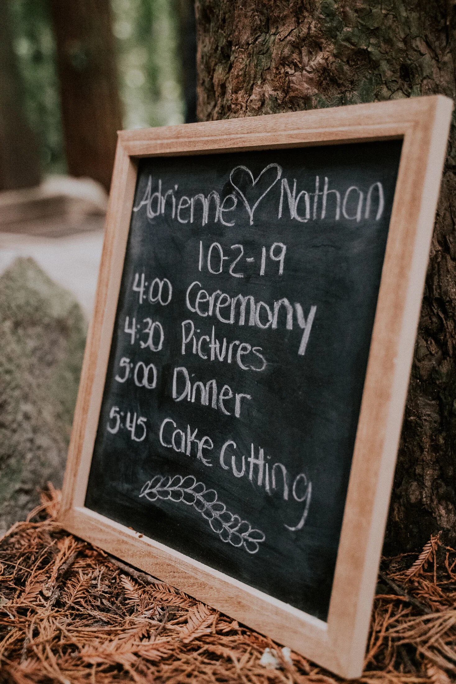 Hoyt Arboretum Redwood Deck Portland Oregon Wedding Photography