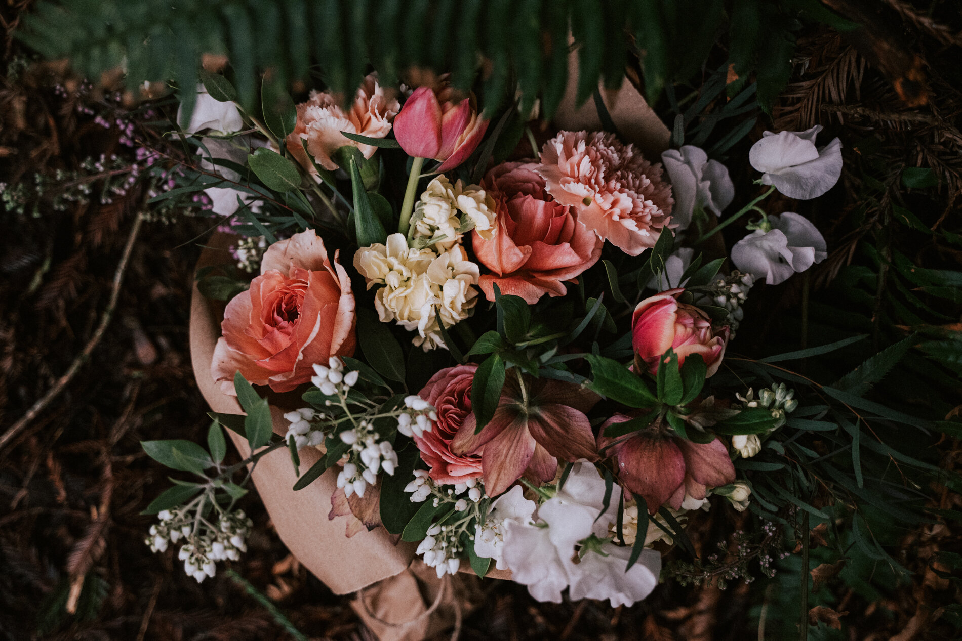 Hoyt Arboretum Elopement Portland Oregon