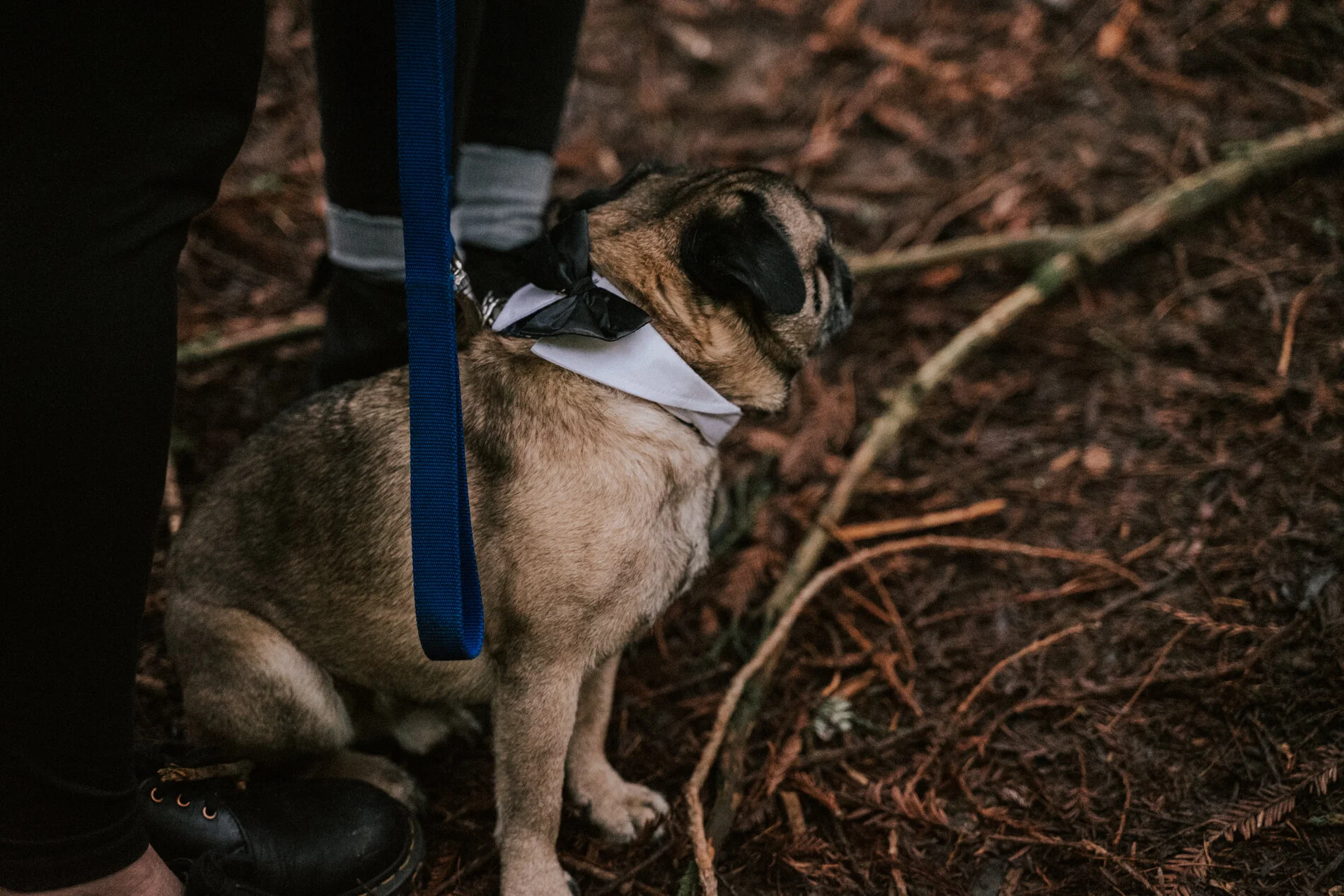 Hoyt Arboretum Elopement Portland Oregon