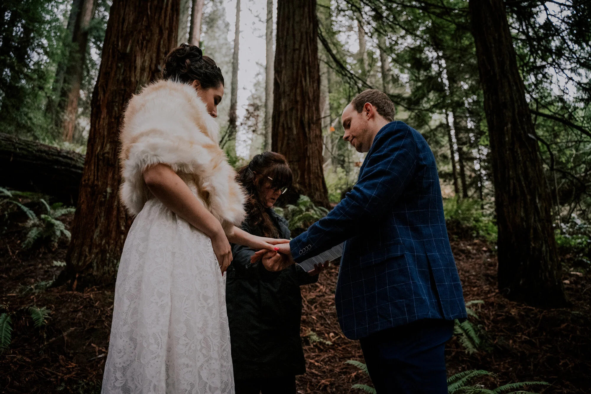 Hoyt Arboretum Elopement Portland Oregon