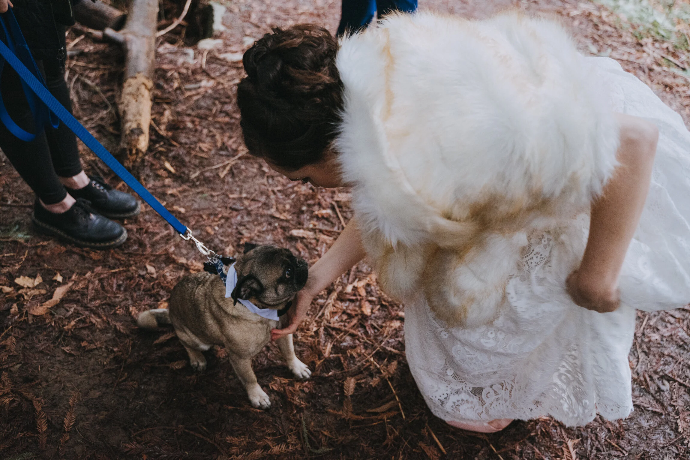 Hoyt Arboretum Elopement Portland Oregon