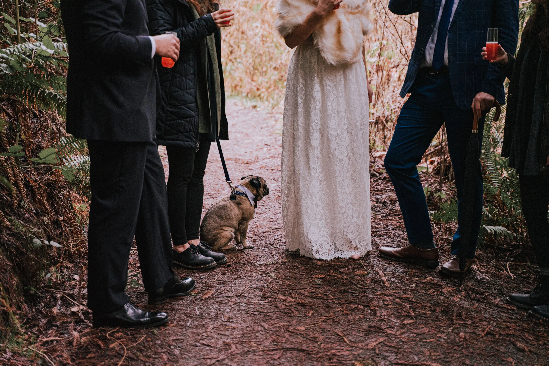 Hoyt Arboretum Elopement Portland Oregon