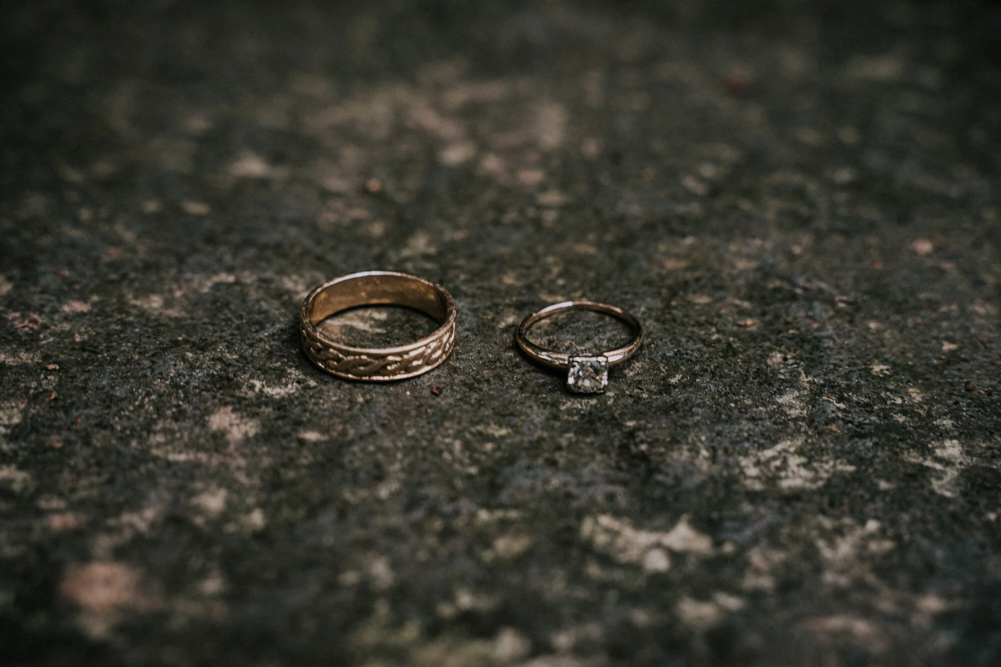 Hoyt Arboretum Elopement Portland Oregon