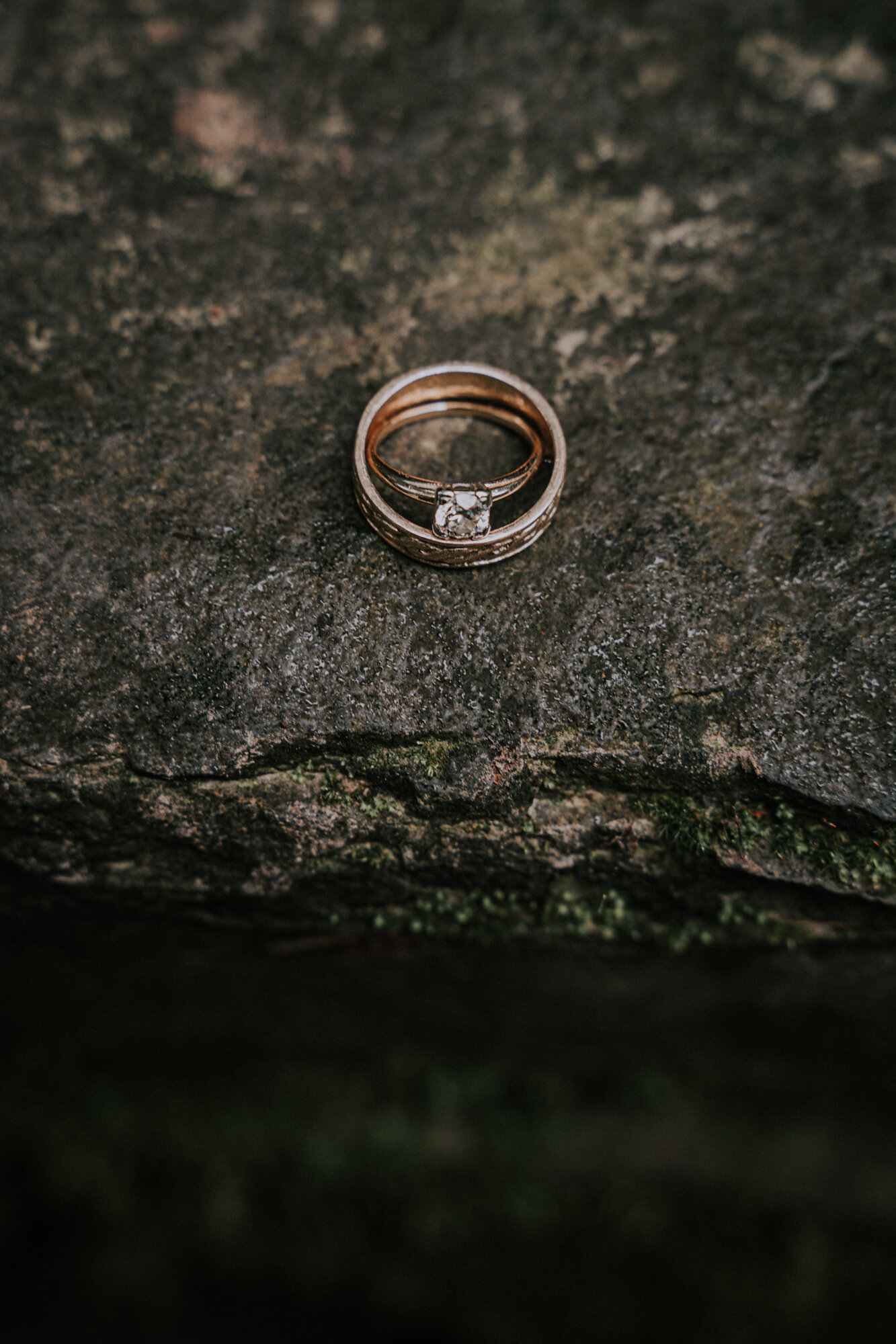 Hoyt Arboretum Elopement Portland Oregon