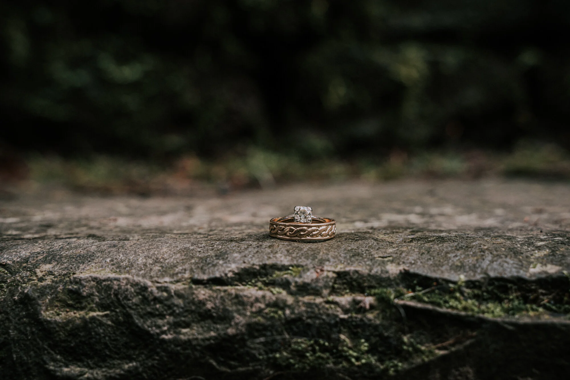 Hoyt Arboretum Elopement Portland Oregon