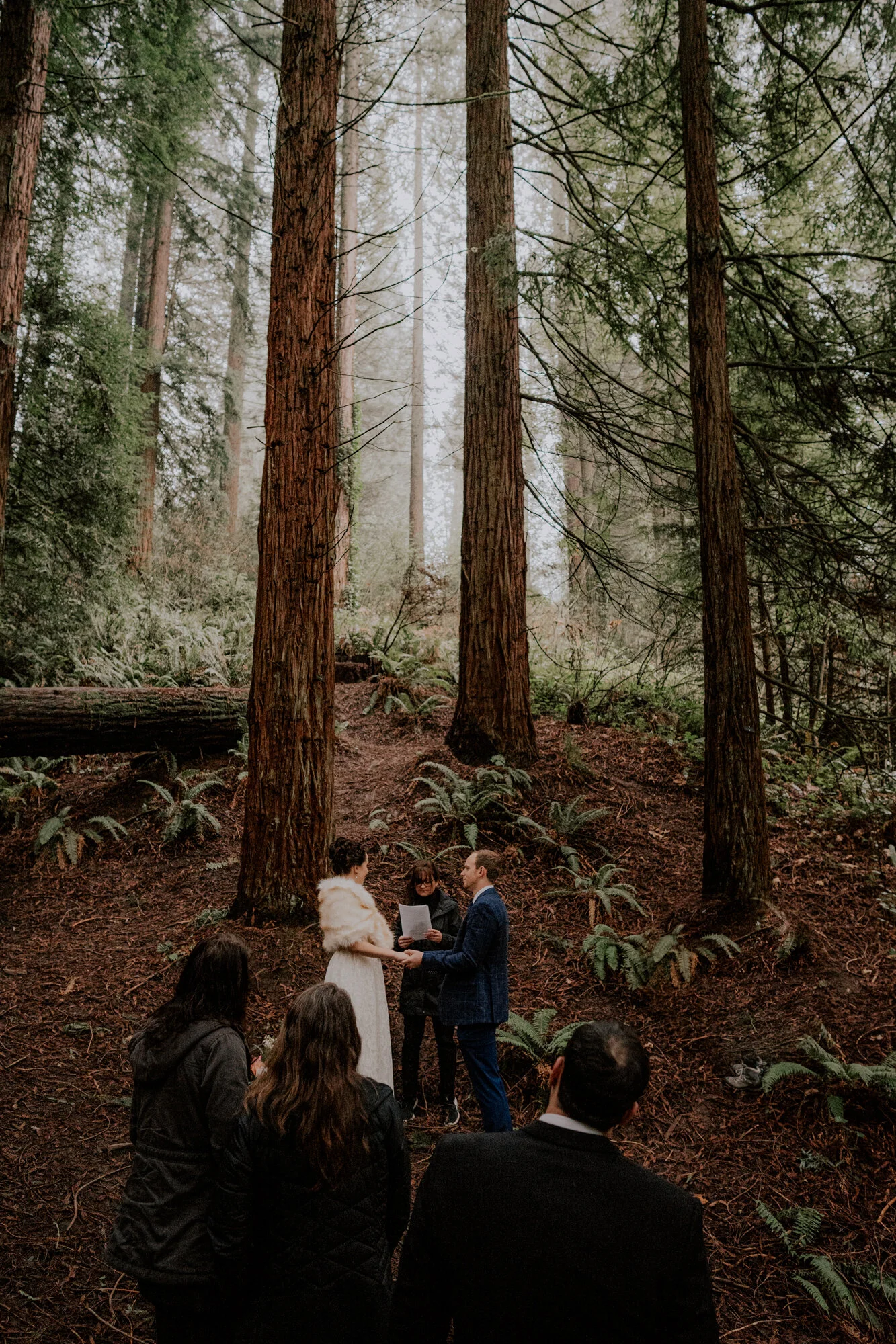 Hoyt Arboretum Elopement Portland Oregon