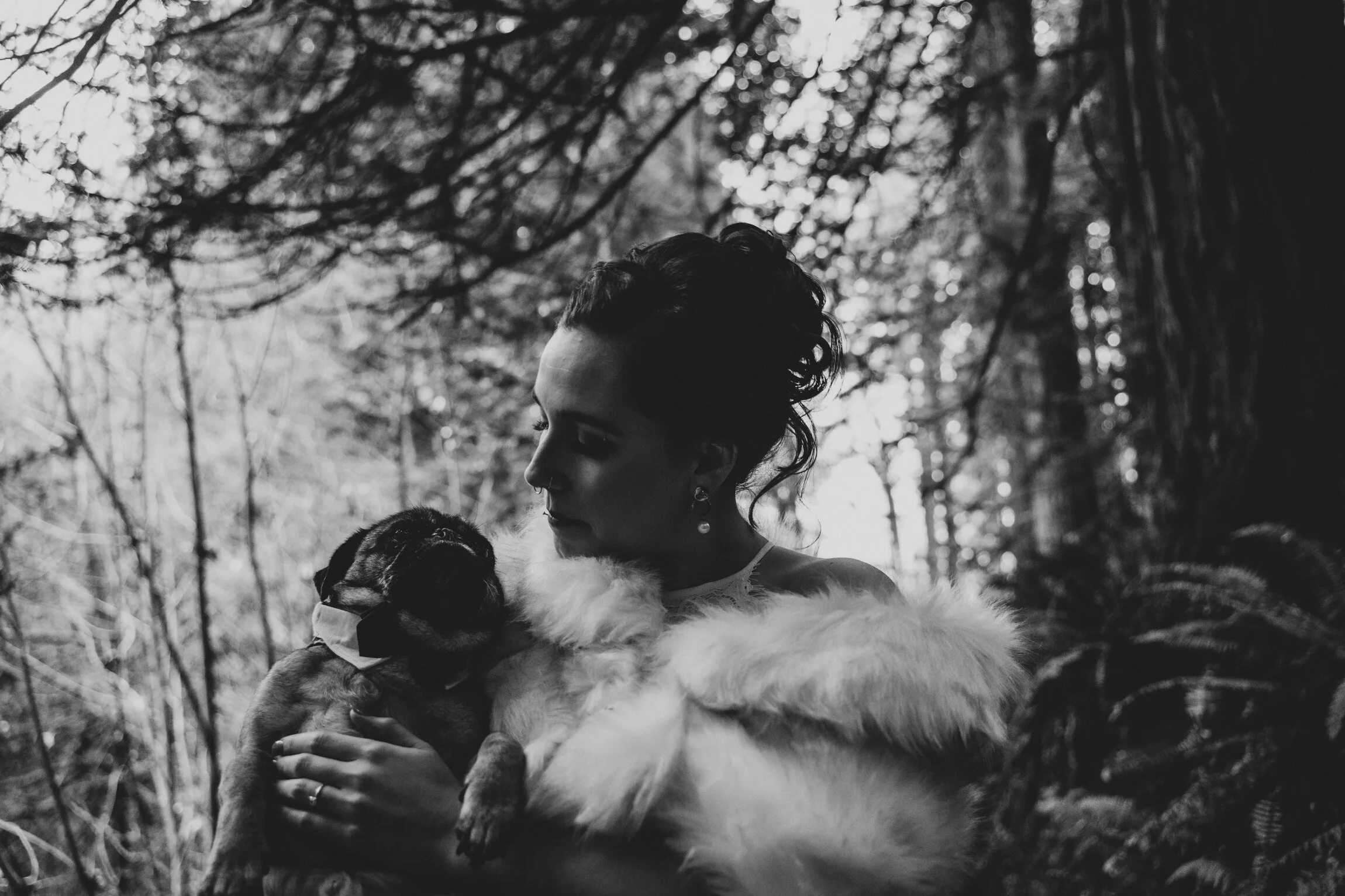 Hoyt Arboretum Elopement Portland Oregon