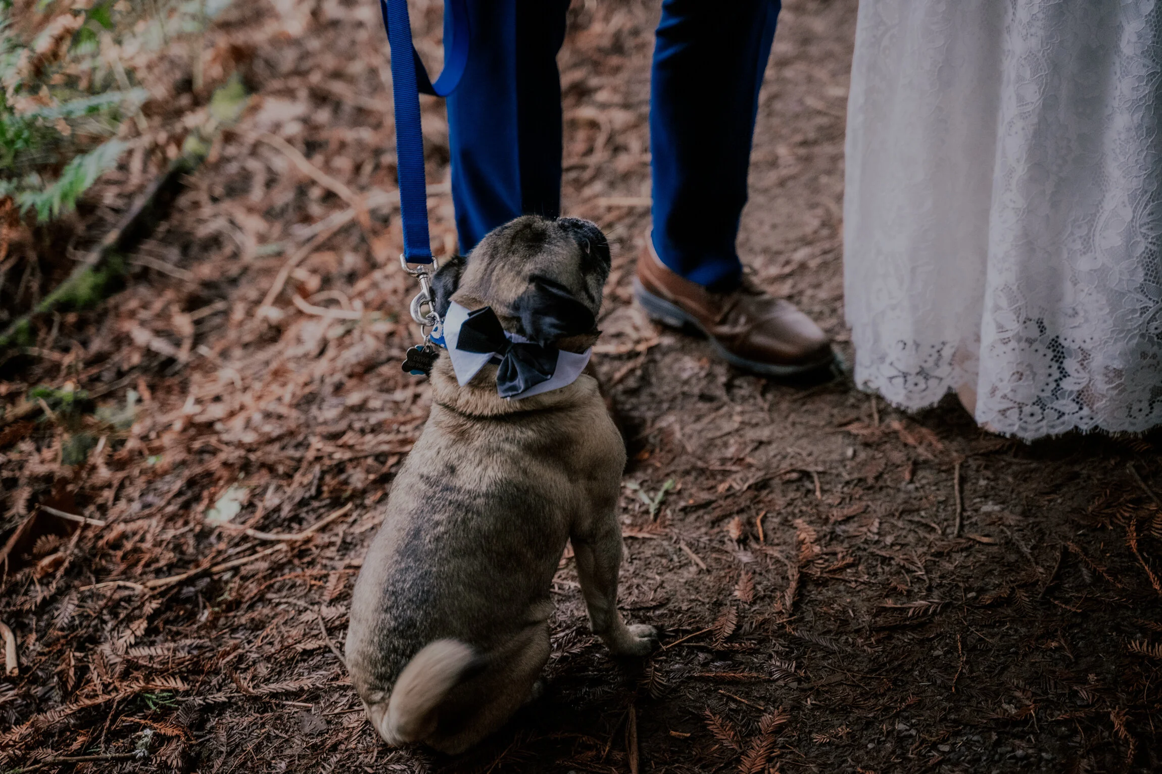 Hoyt Arboretum Elopement Portland Oregon