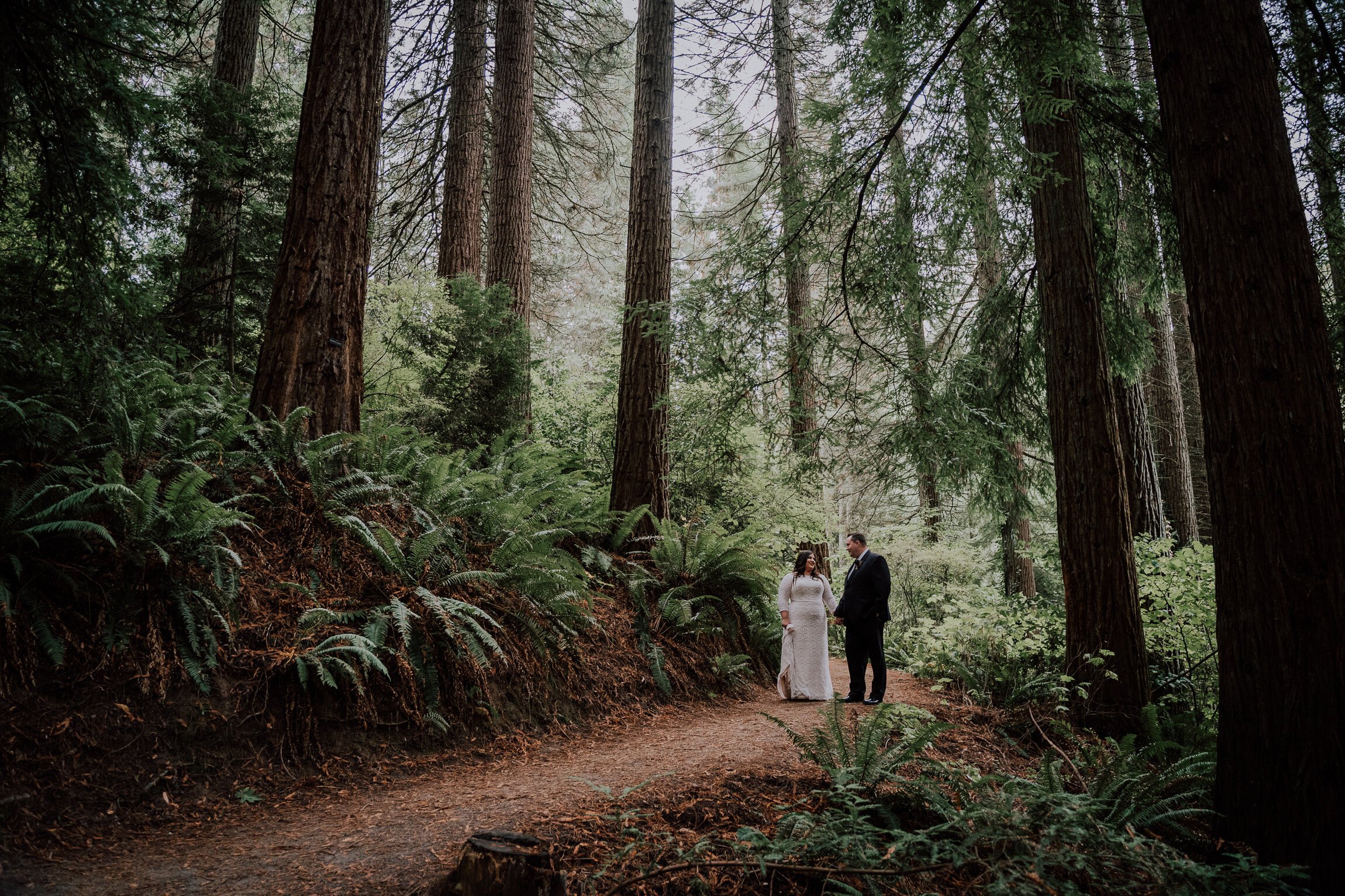 Hoyt+Arboretum+Redwood+Deck+Wedding+Elopement+Portland+Oregon.jpeg