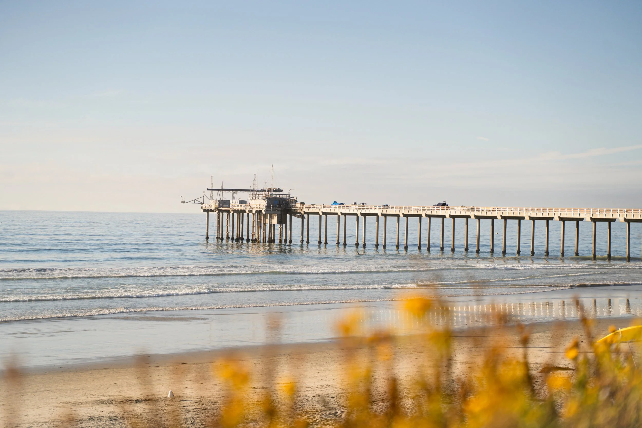 Family Photography San Diego_Scripps Pier La Jolla4.jpg