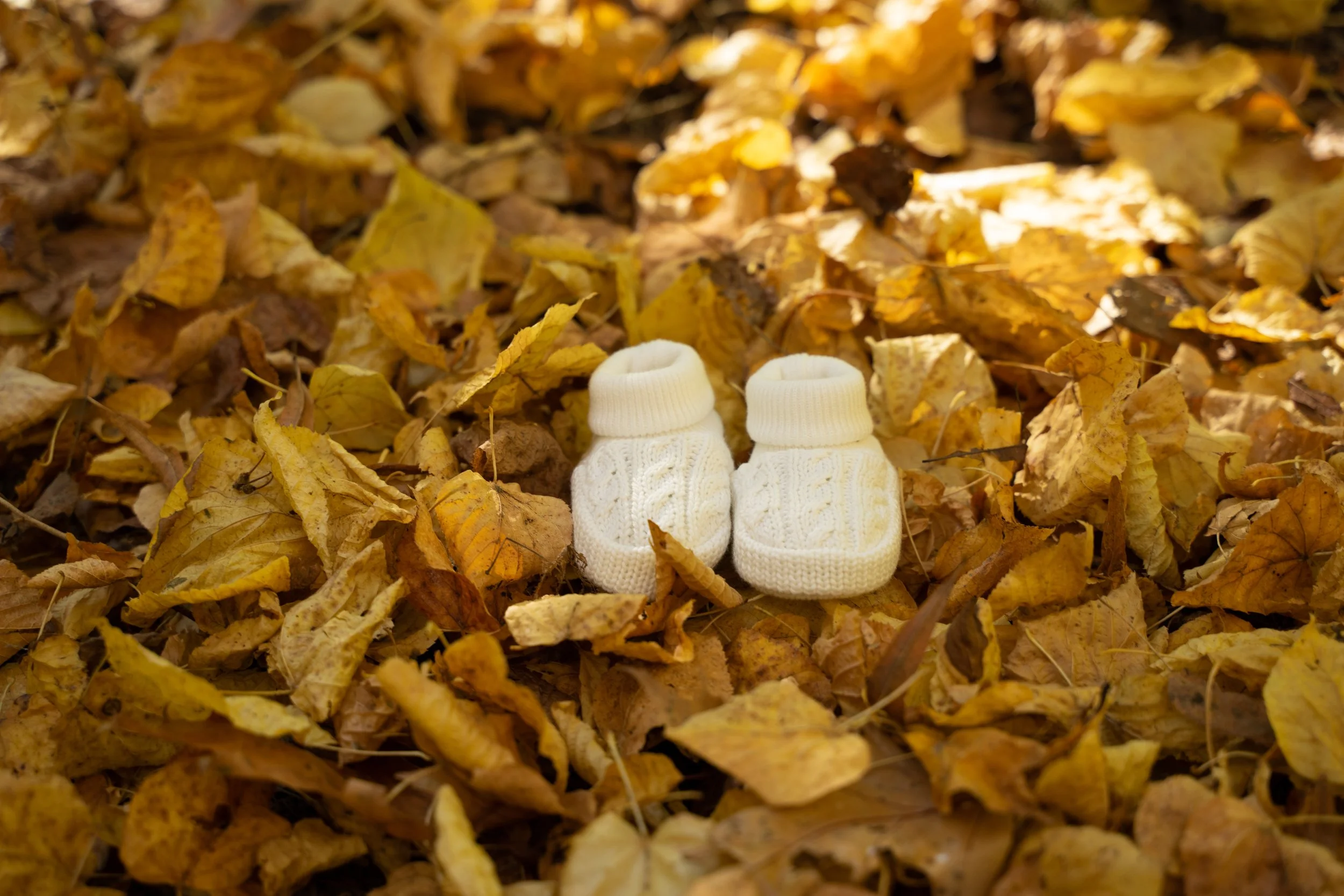 San Diego Maternity Photos Family Photographer 1.jpg