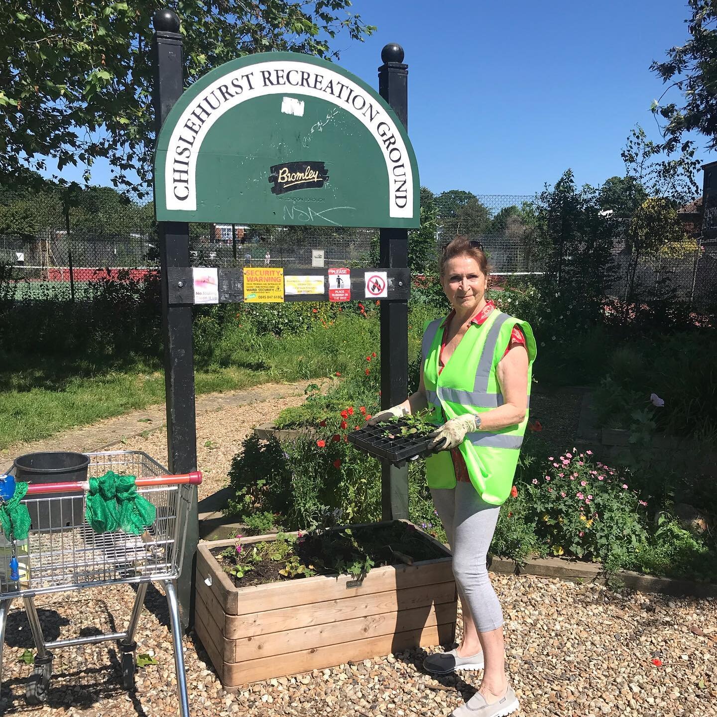 Meet Angela, one of our amazing Gardening Club volunteers. Today Angela planted Pansies in our tubs which hopefully will do nicely after the rain tomorrow 🌸 

If you want to become a Gardening Club volunteer just turn up by the Empress Drive entranc