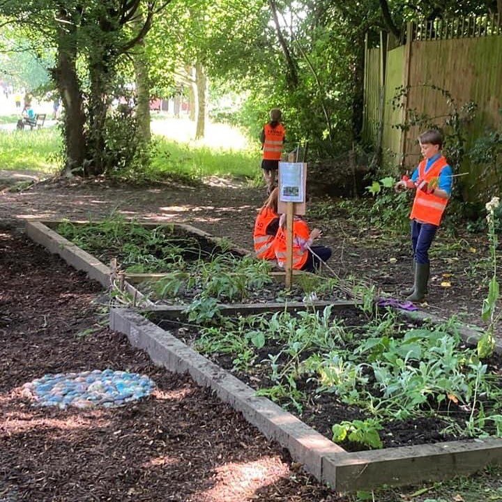 Busy morning - amazing what 5 Cubs can achieve. So busy I only took one photo. They shifted a lot of bark chips to start making paths, planted various things, trimmed some hazel branches to weave edging, tidied the ditch of litter and generally had a