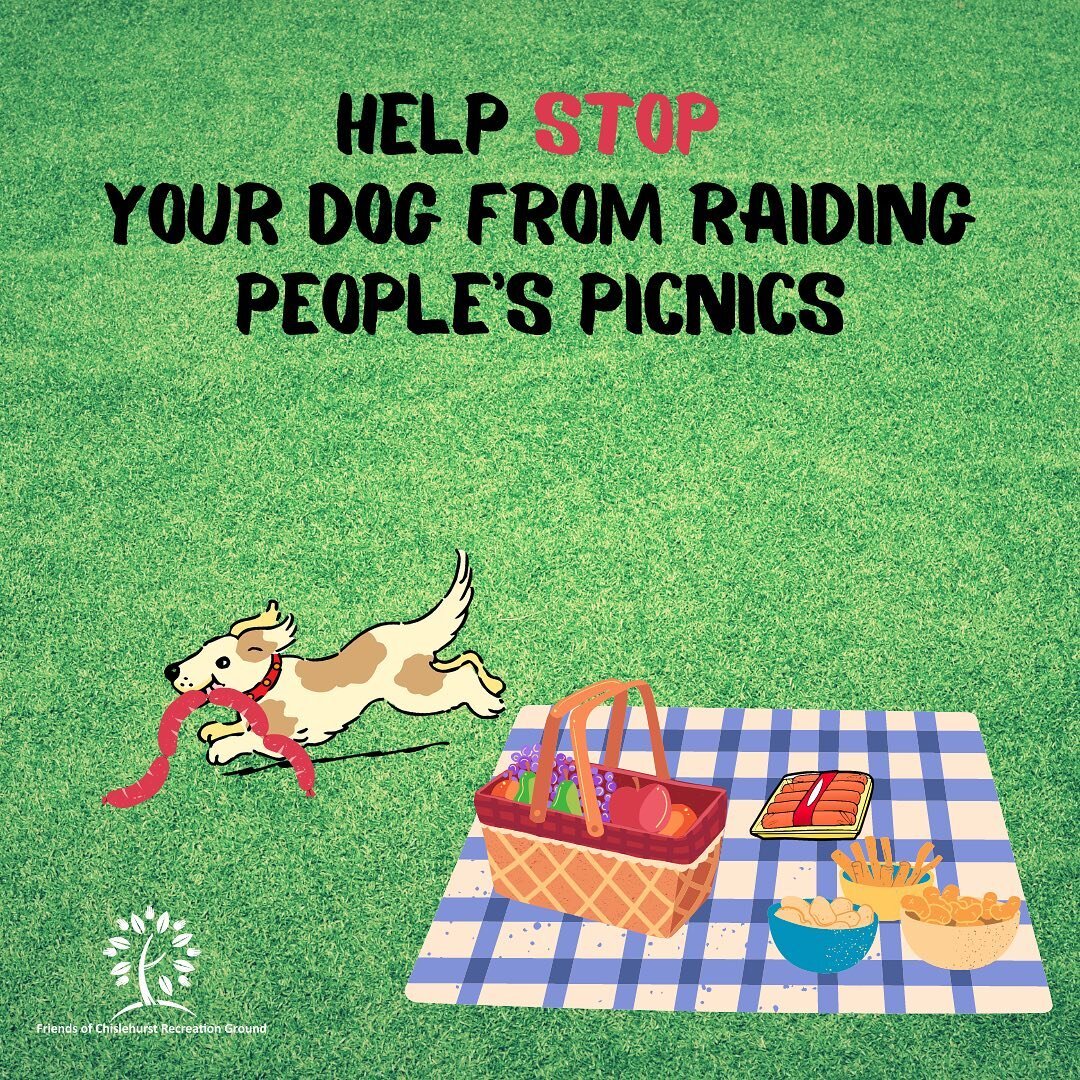 It&rsquo;s that time of year where people enjoy sitting in the Rec. enjoying a picnic. Most people will find a stranger&rsquo;s dog raiding their picnic unwelcome and at times scary, especially for the children. It is the dog owner&rsquo;s responsibi