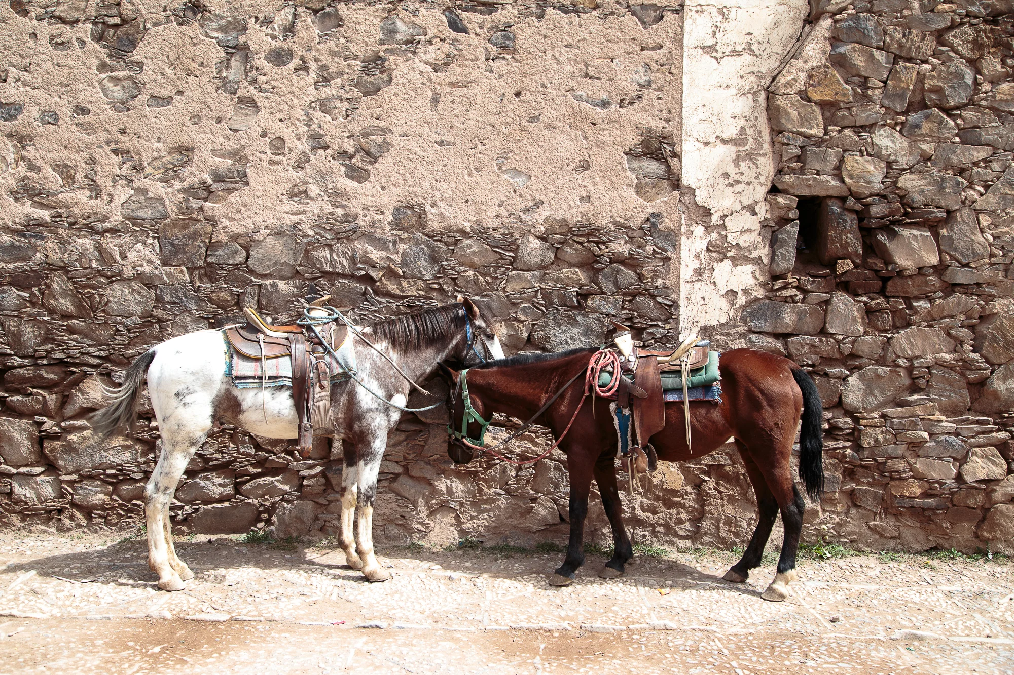 Catorce9.jpg