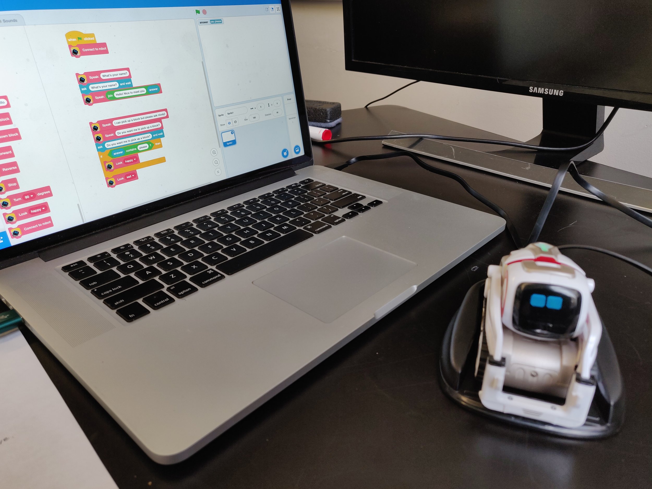 Programming in Cognimates