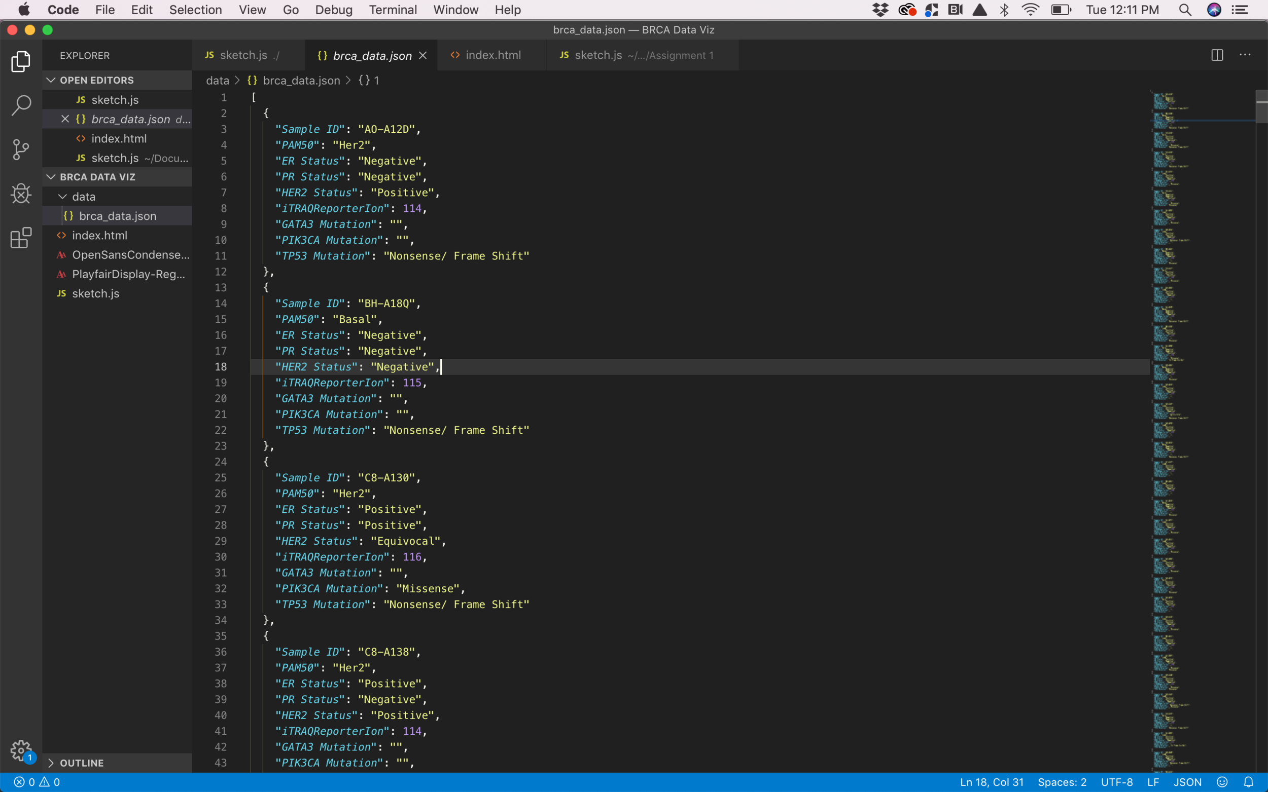 .json file for Object Oriented Programming