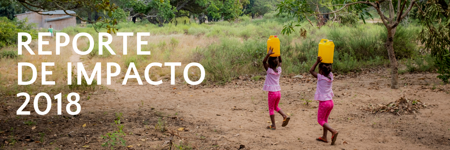 Reporte De Impacto 2018.png