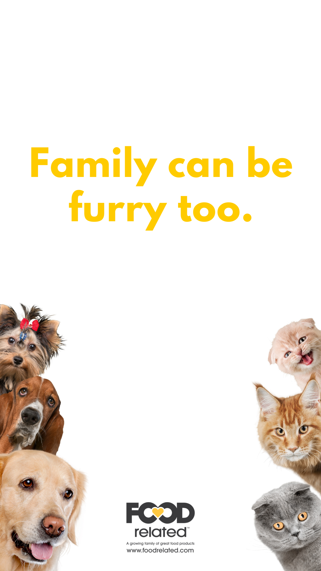 Copy of Copy of We believe in groceries, not gross-eries..png