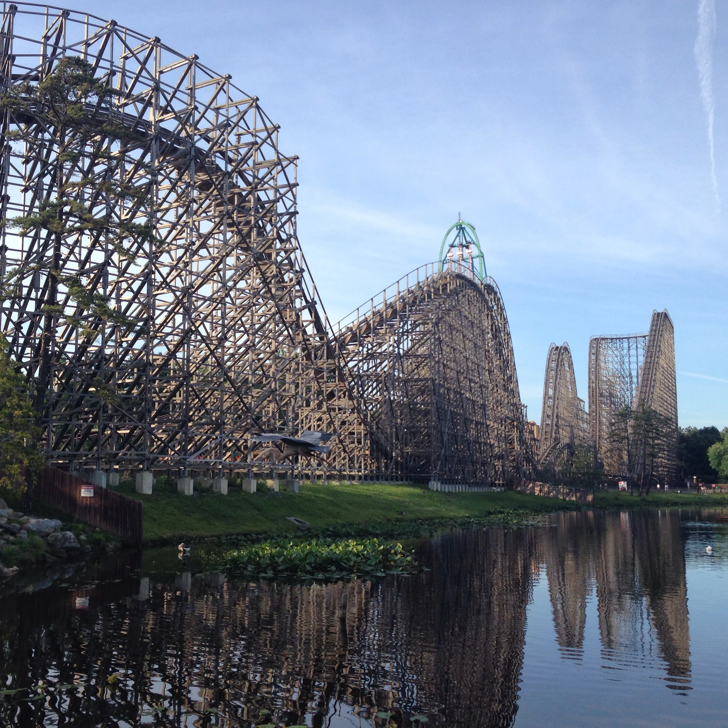 rollercoaster.jpg