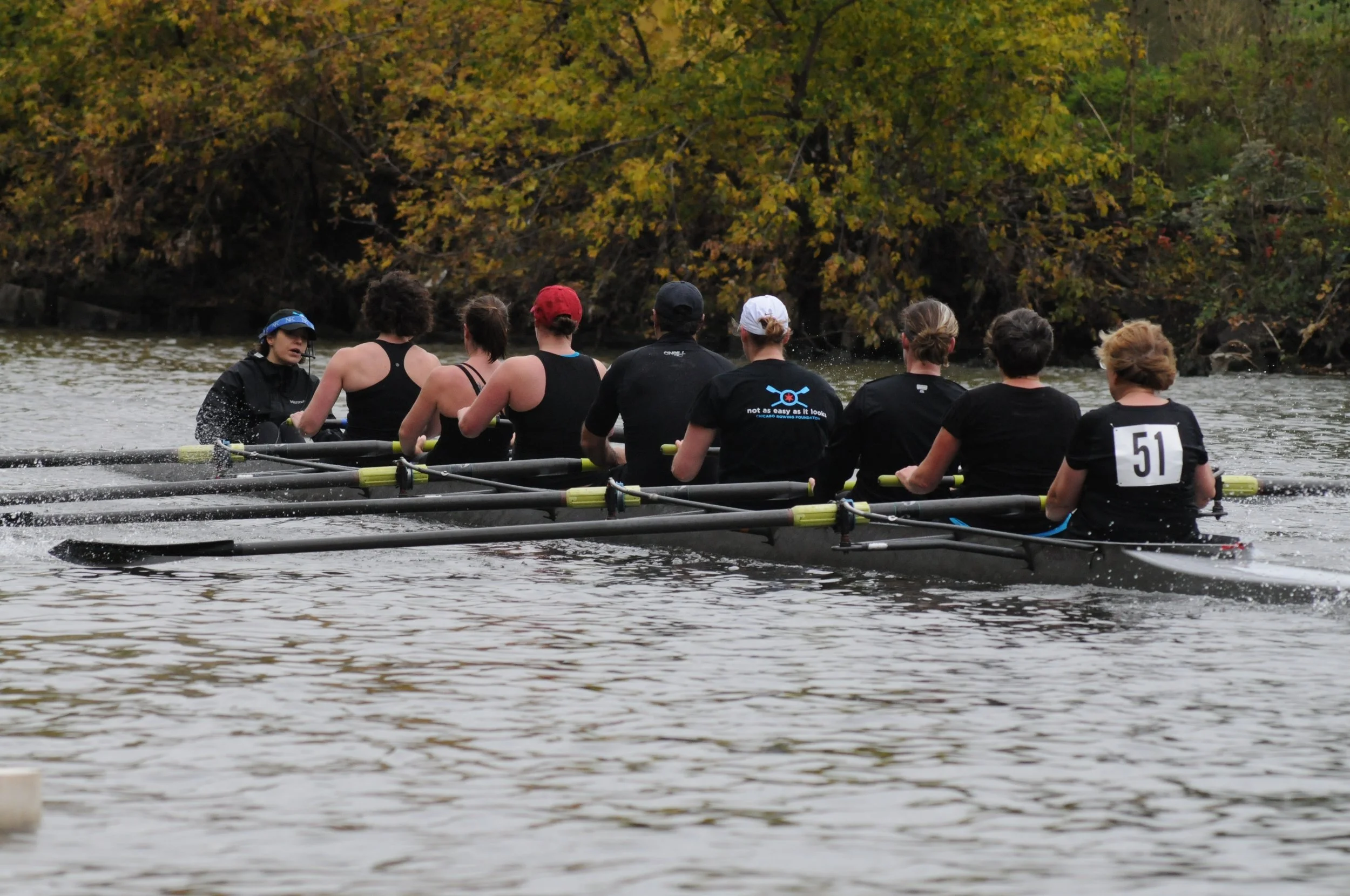 regatta.jpg