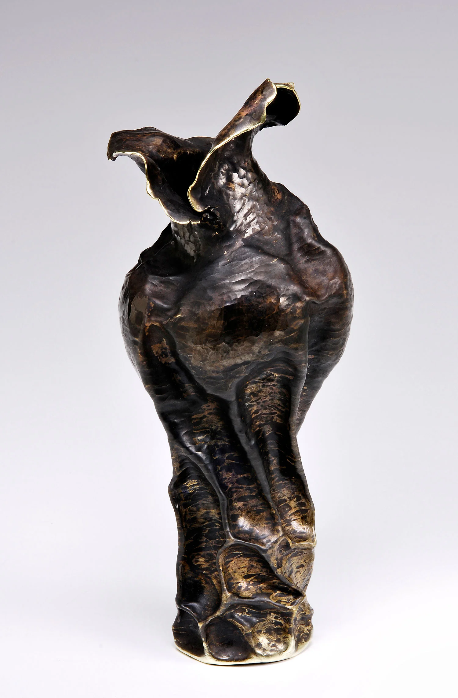 Torso
