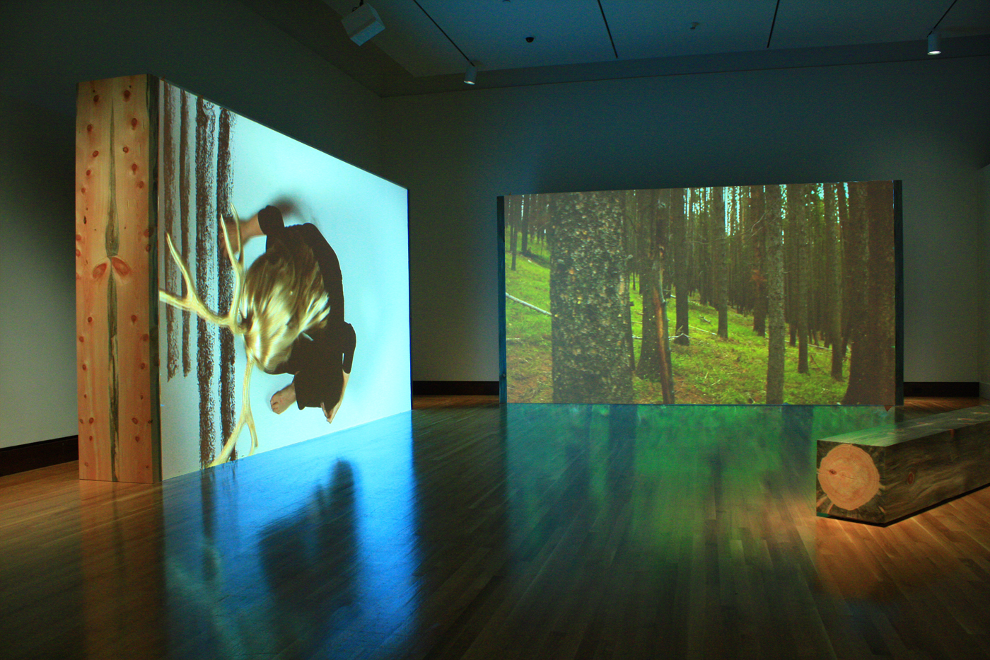 Installation View.jpg